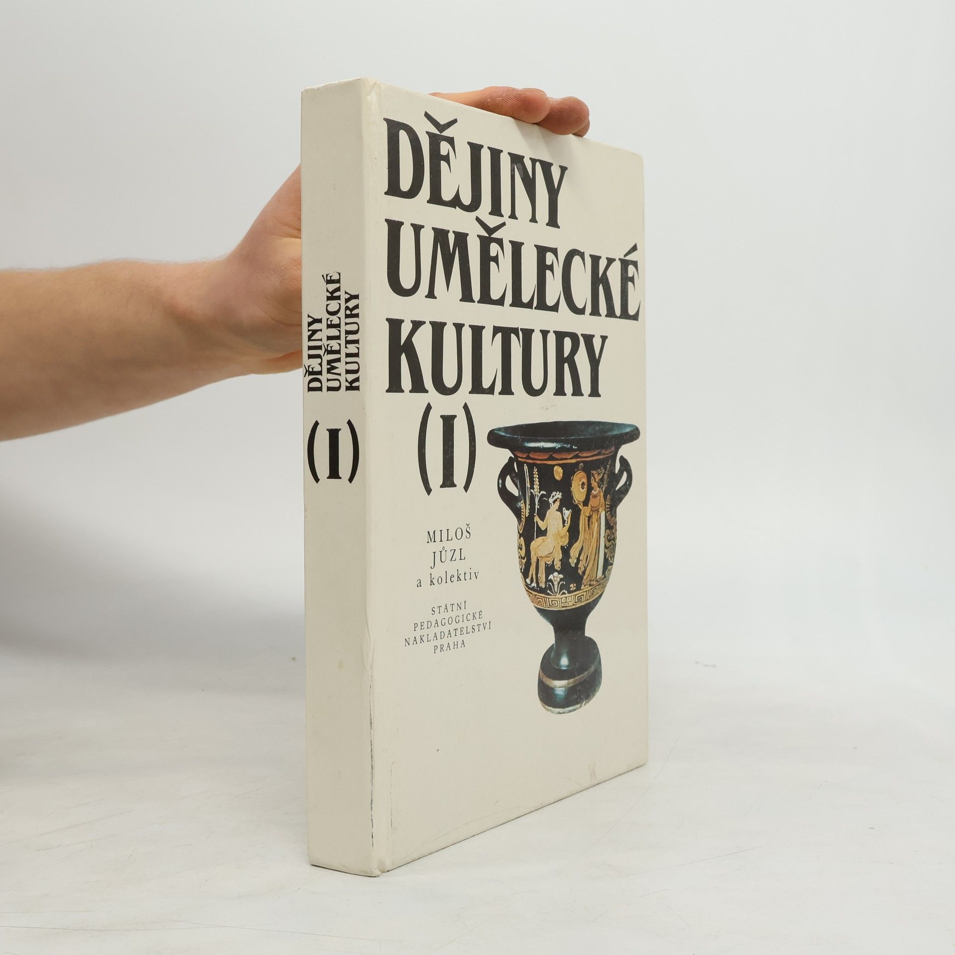 Miloš Jůzl Dějiny umělecké kultury. 1. díl