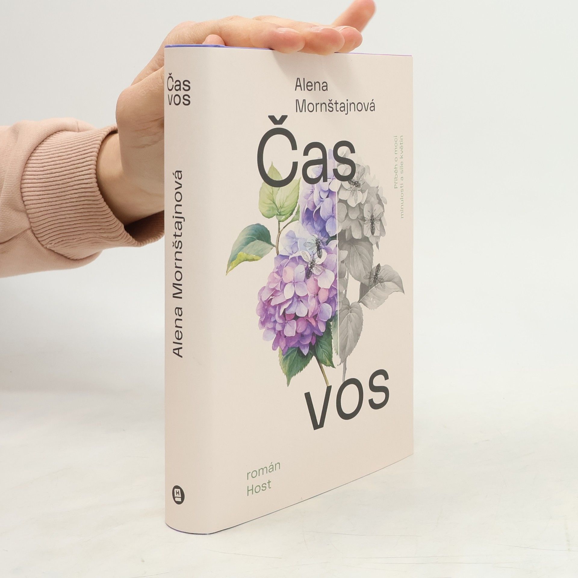 Alena Mornštajnová Čas vos