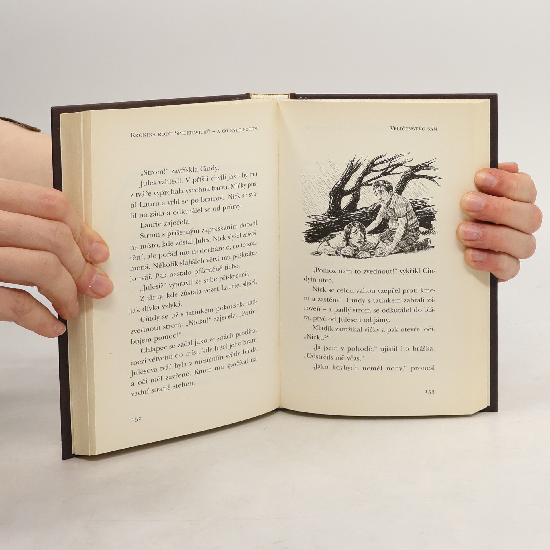 Tony DiTerlizzi Kronika rodu Spiderwicků - a co bylo potom. Kniha 3, Veličenstvo saň