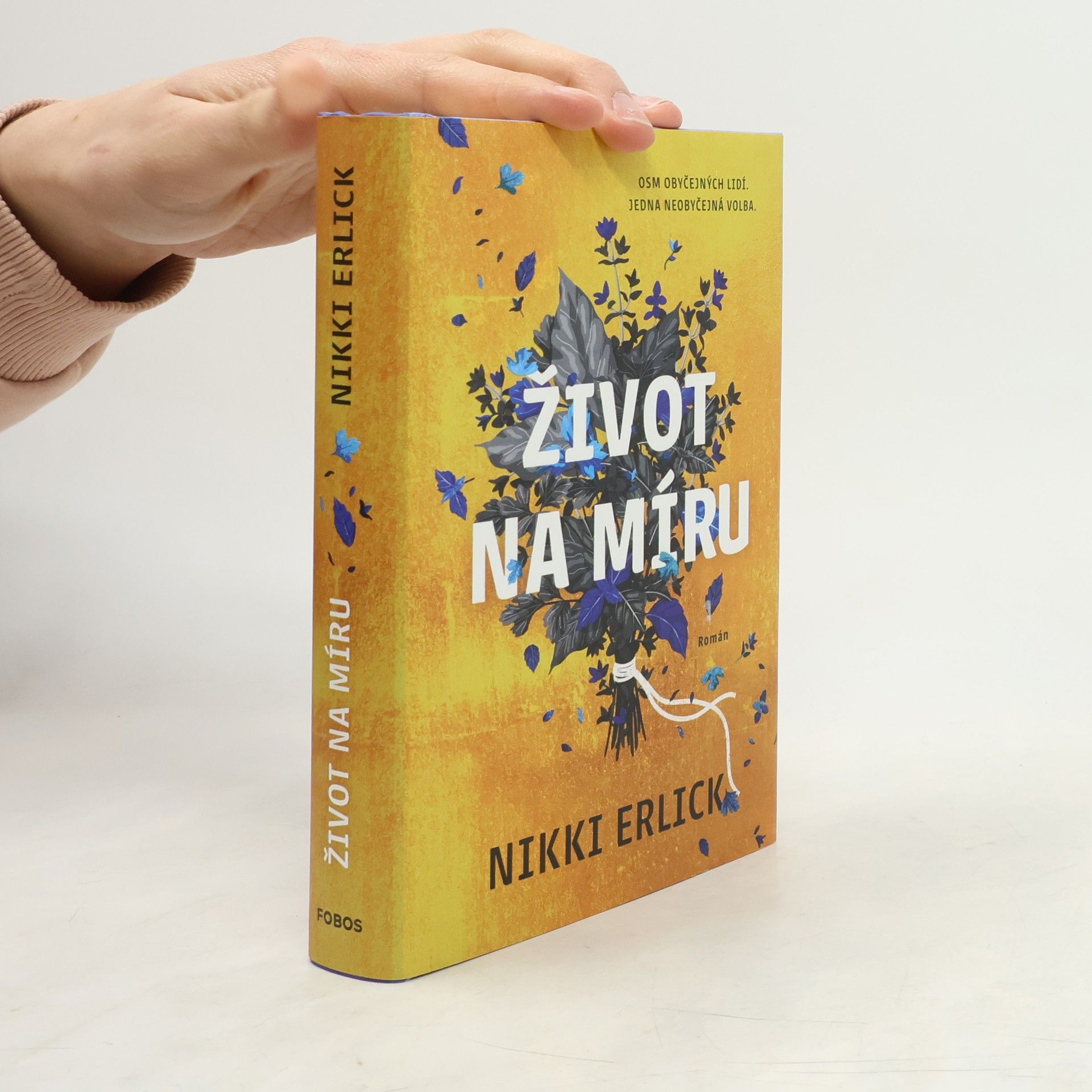 Nikki Erlick Život na míru