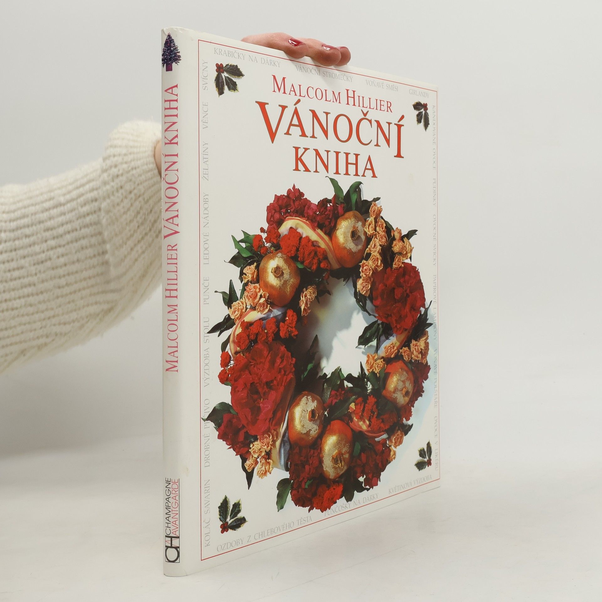 Malcolm Hillier Vánoční kniha