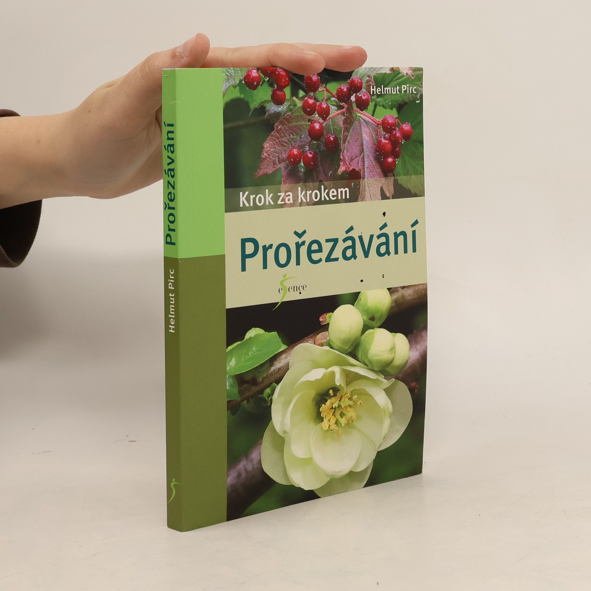 Prořezávání - krok za krokem