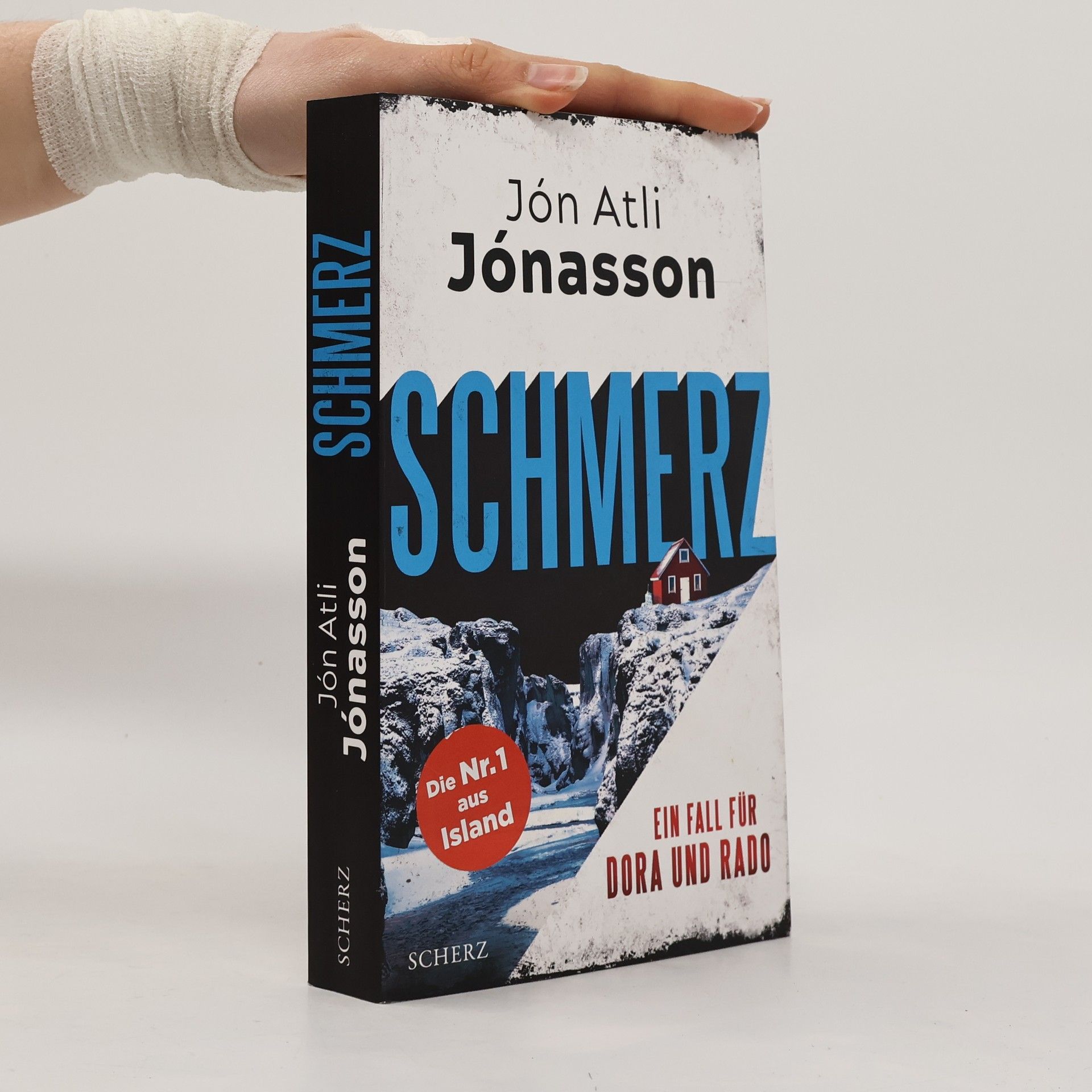 Jón Atli Jónasson Schmerz