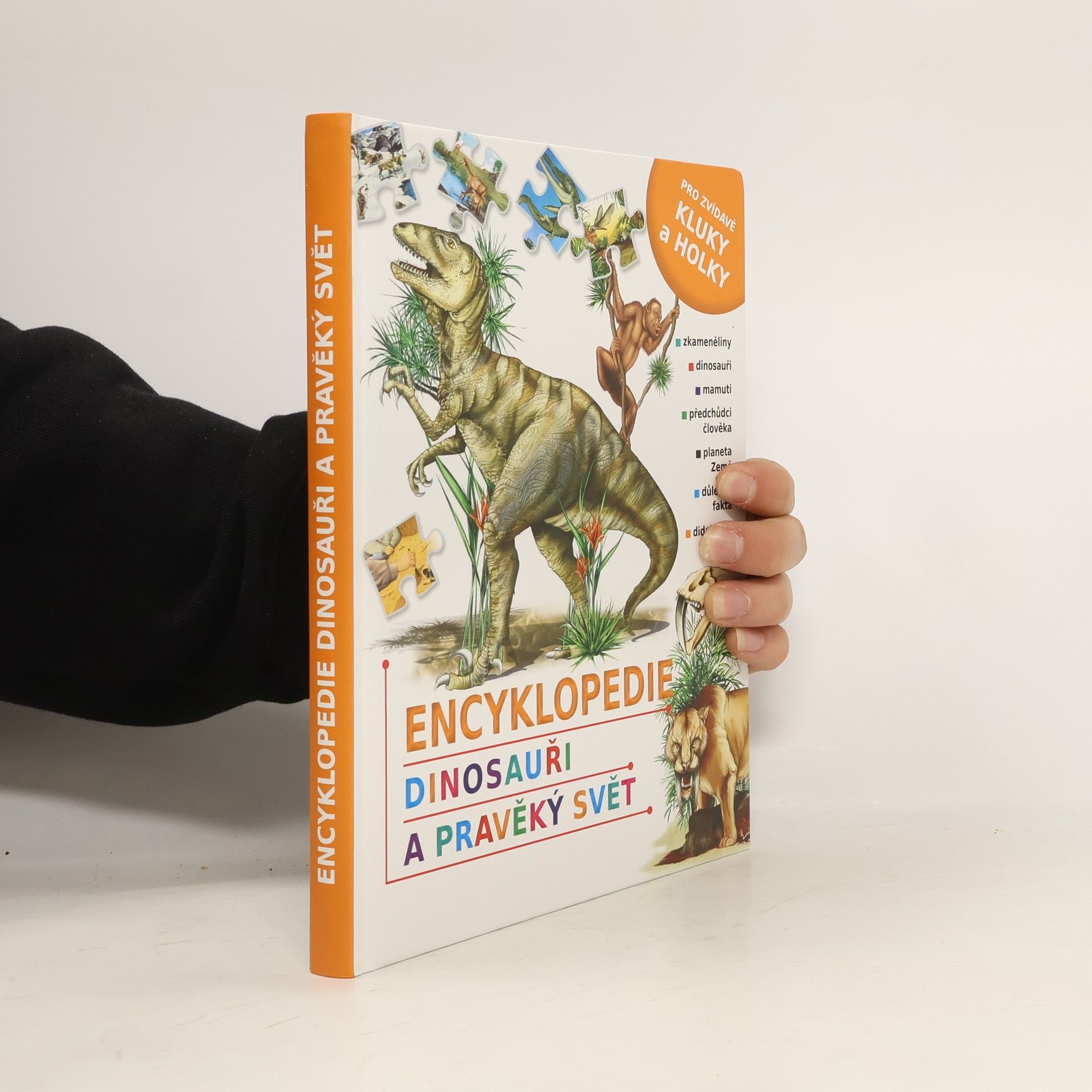 Autorenkollektiv Encyklopedie : Dinosauři a Pravěký svět