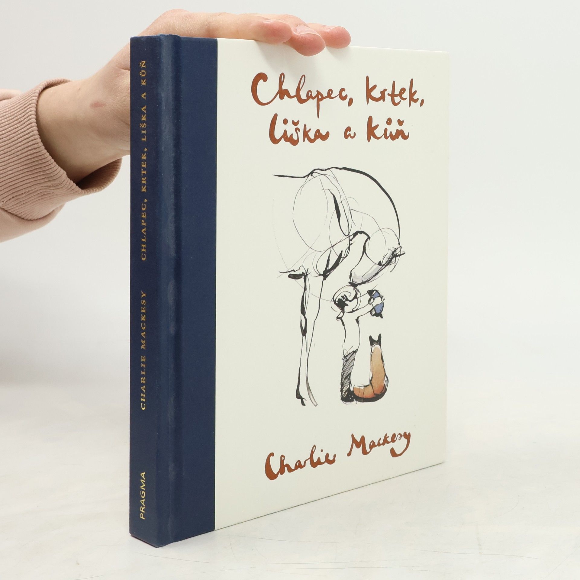 Charlie Mackesy Chlapec, krtek, liška a kůň