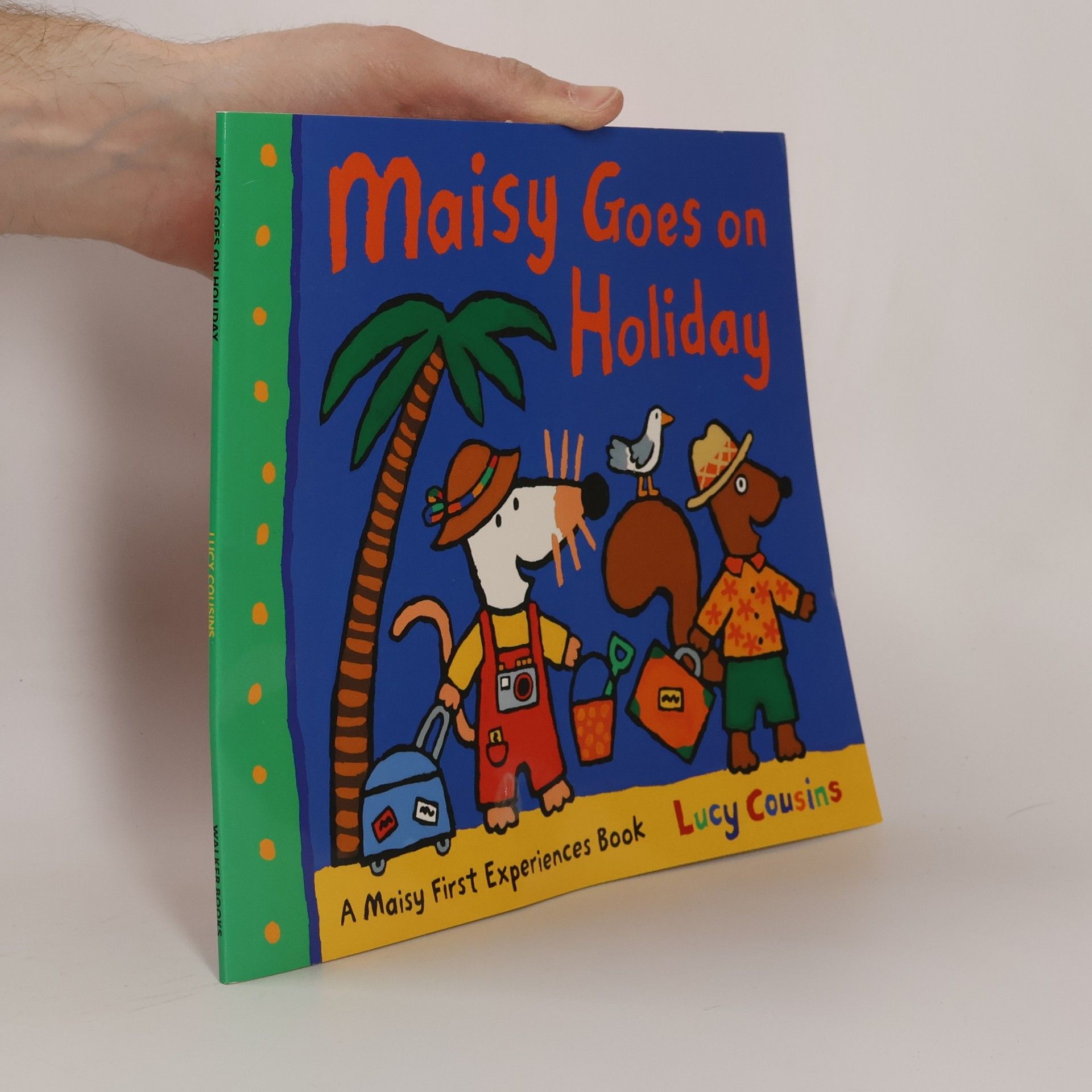 Lucy Cousins Maisy Goes on Holiday