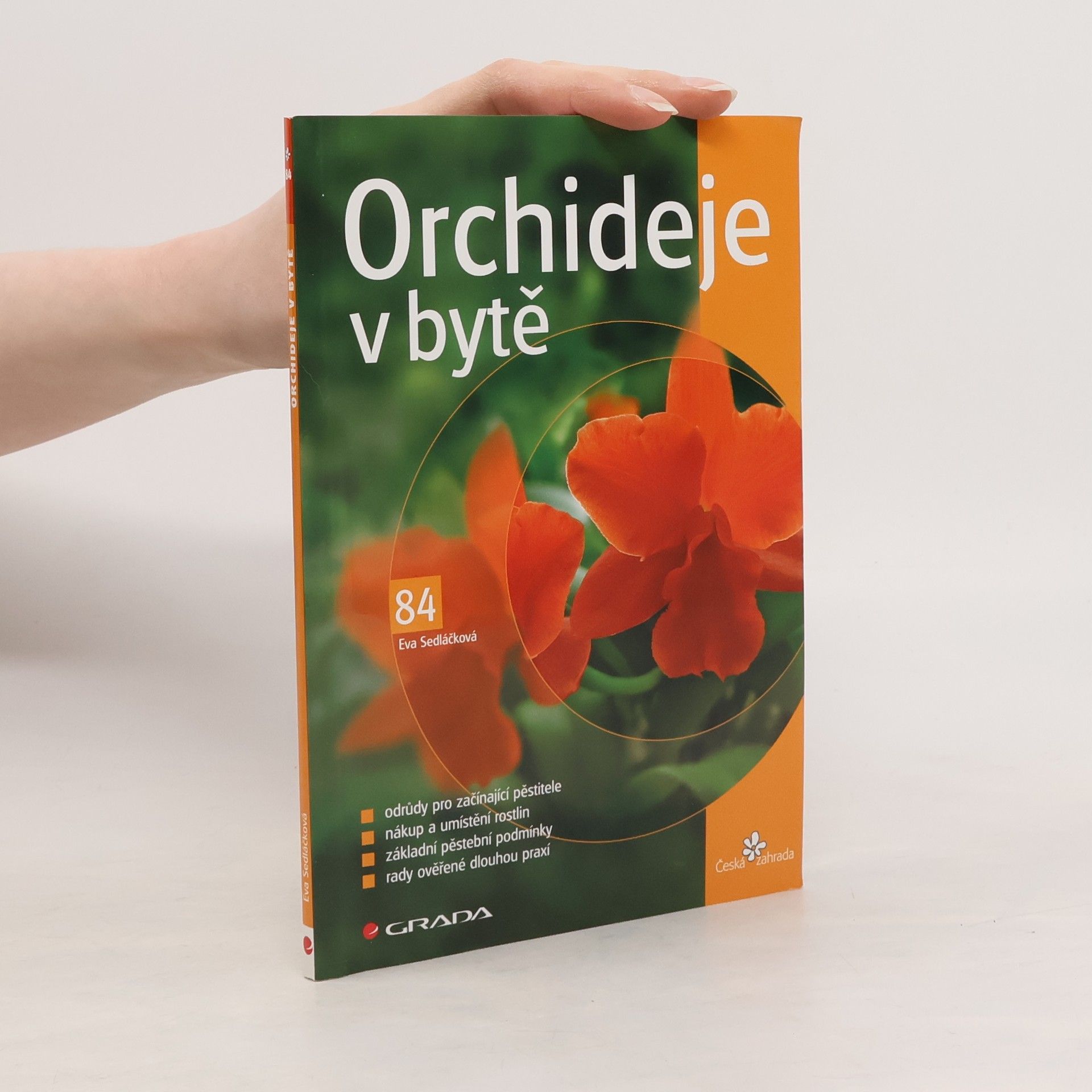 Eva Sedláčková Orchideje v bytě