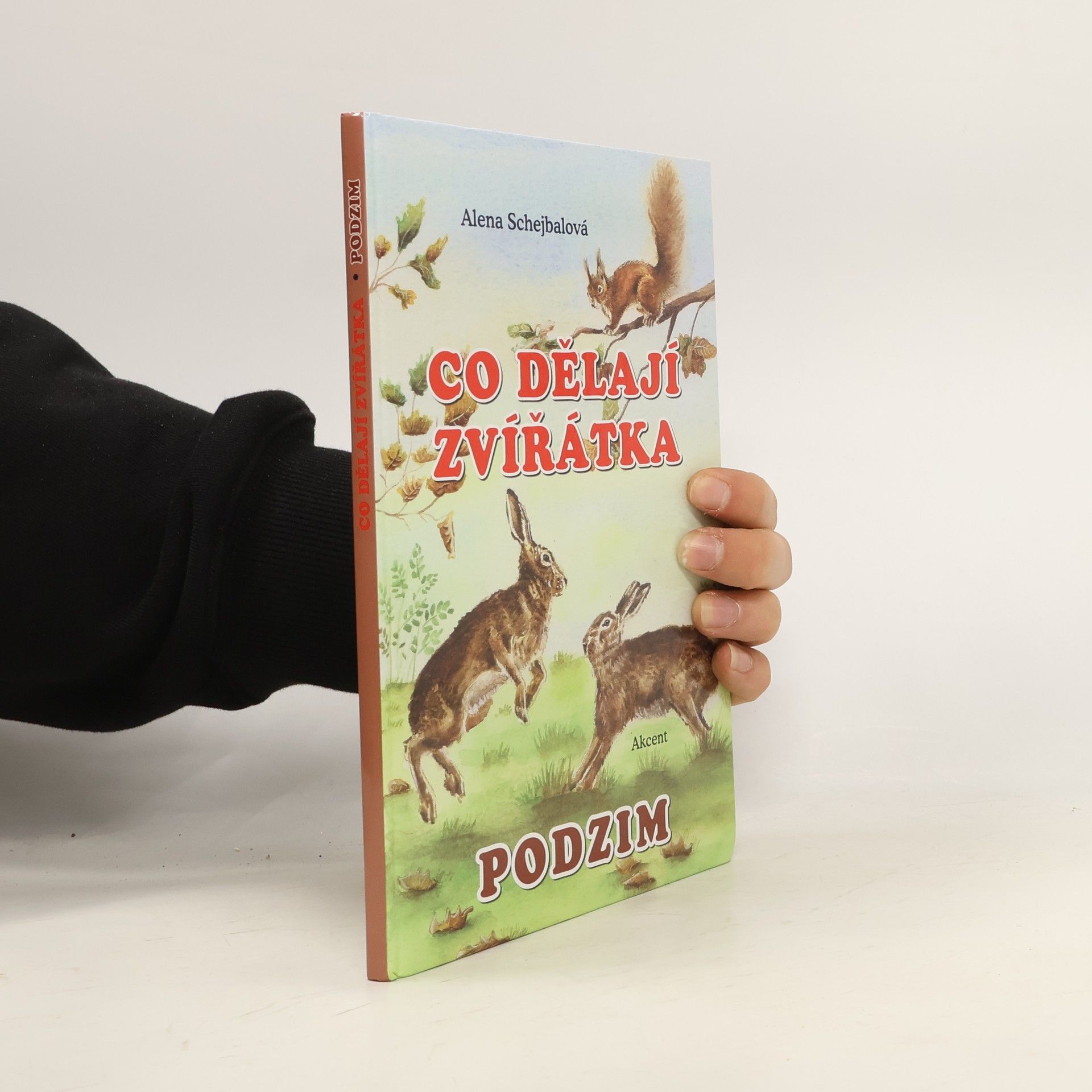 Co dělají zvířátka. Podzim