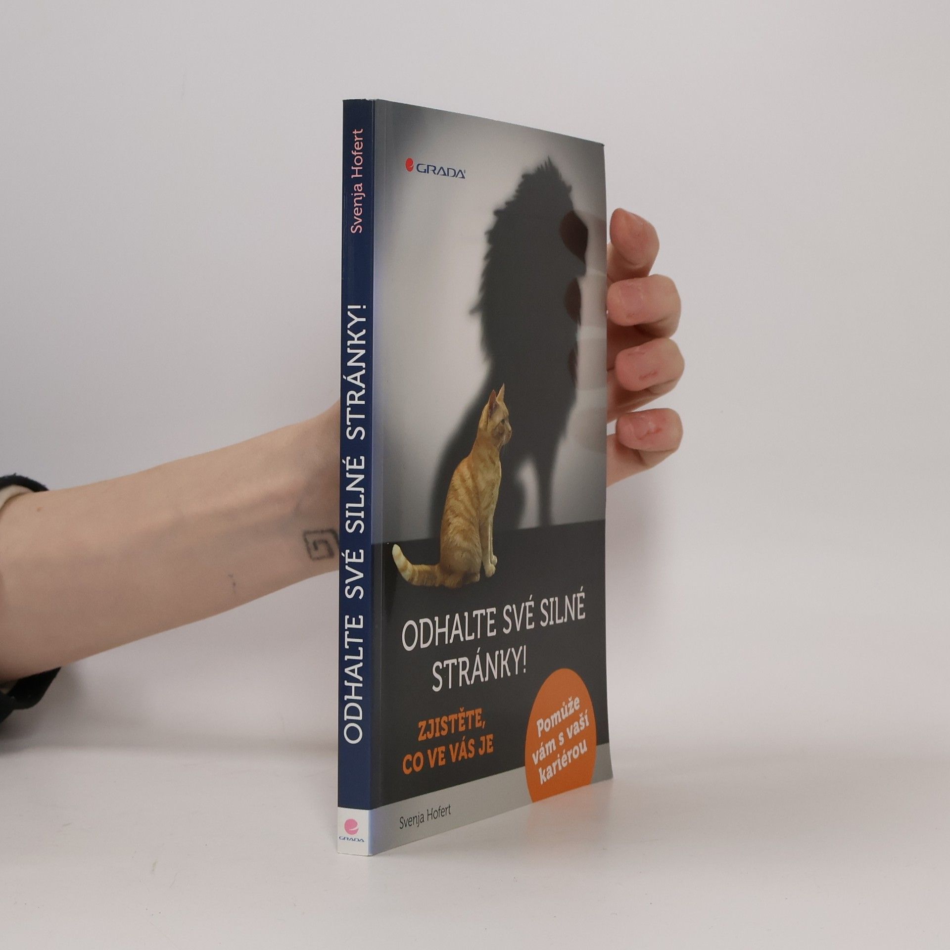 Odhalte své silné stránky! : zjistěte, co ve vás je: Pomůže vám s vaší kariérou