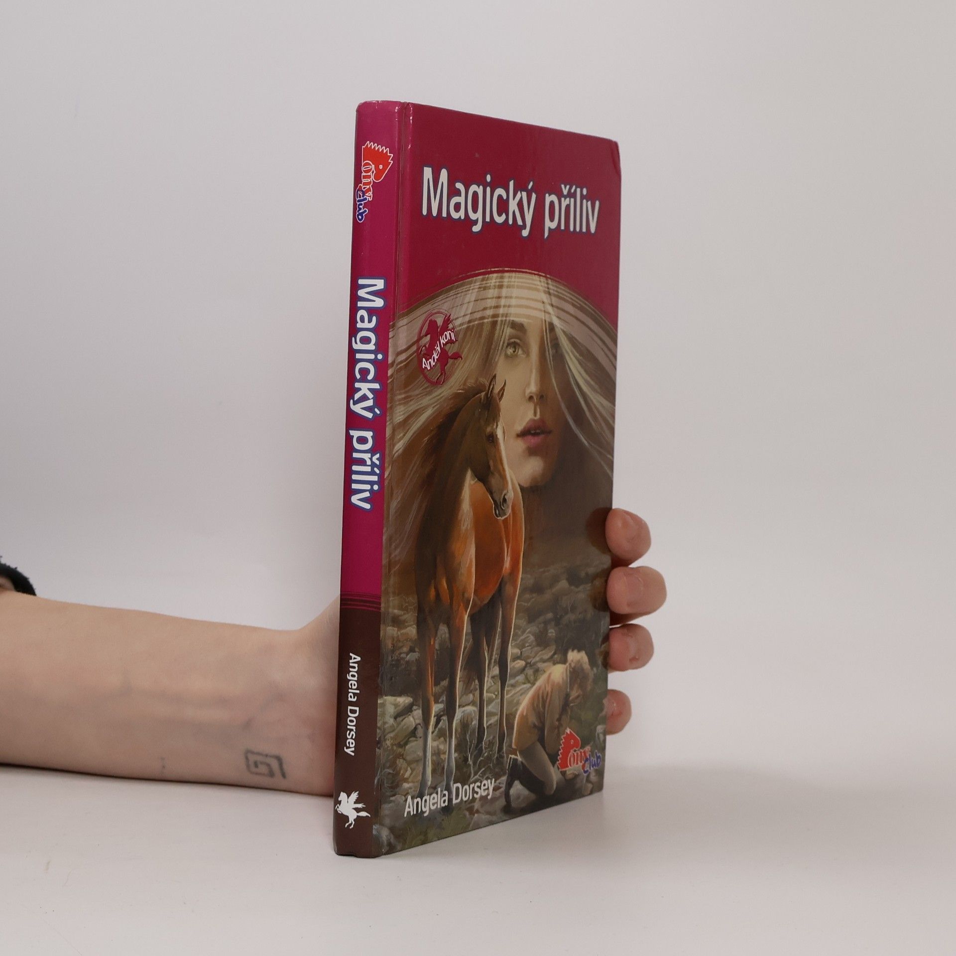 Angela Dorsey Magický příliv