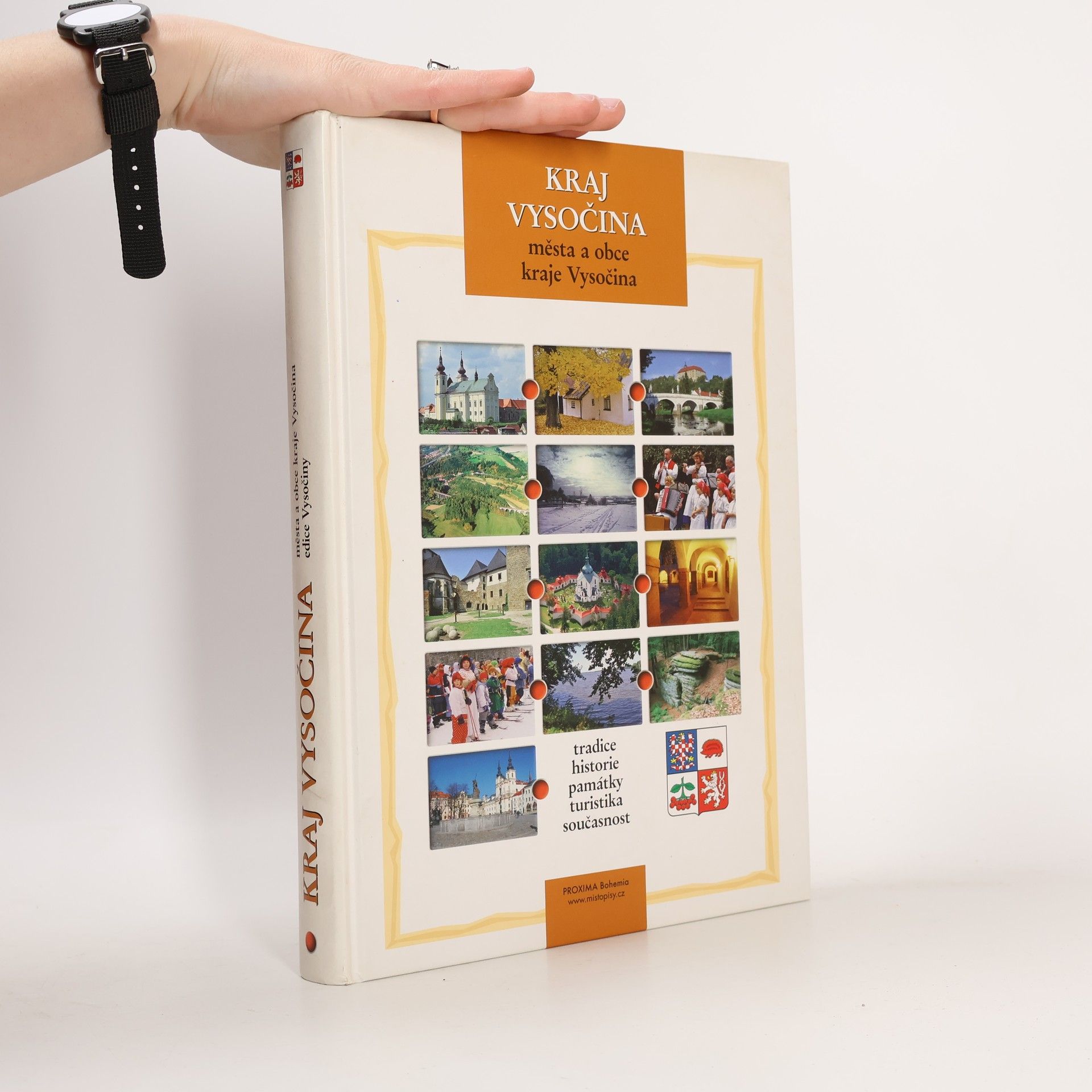 Kolektiv autorů Kraj Vysočina: města a obce kraje Vysočina