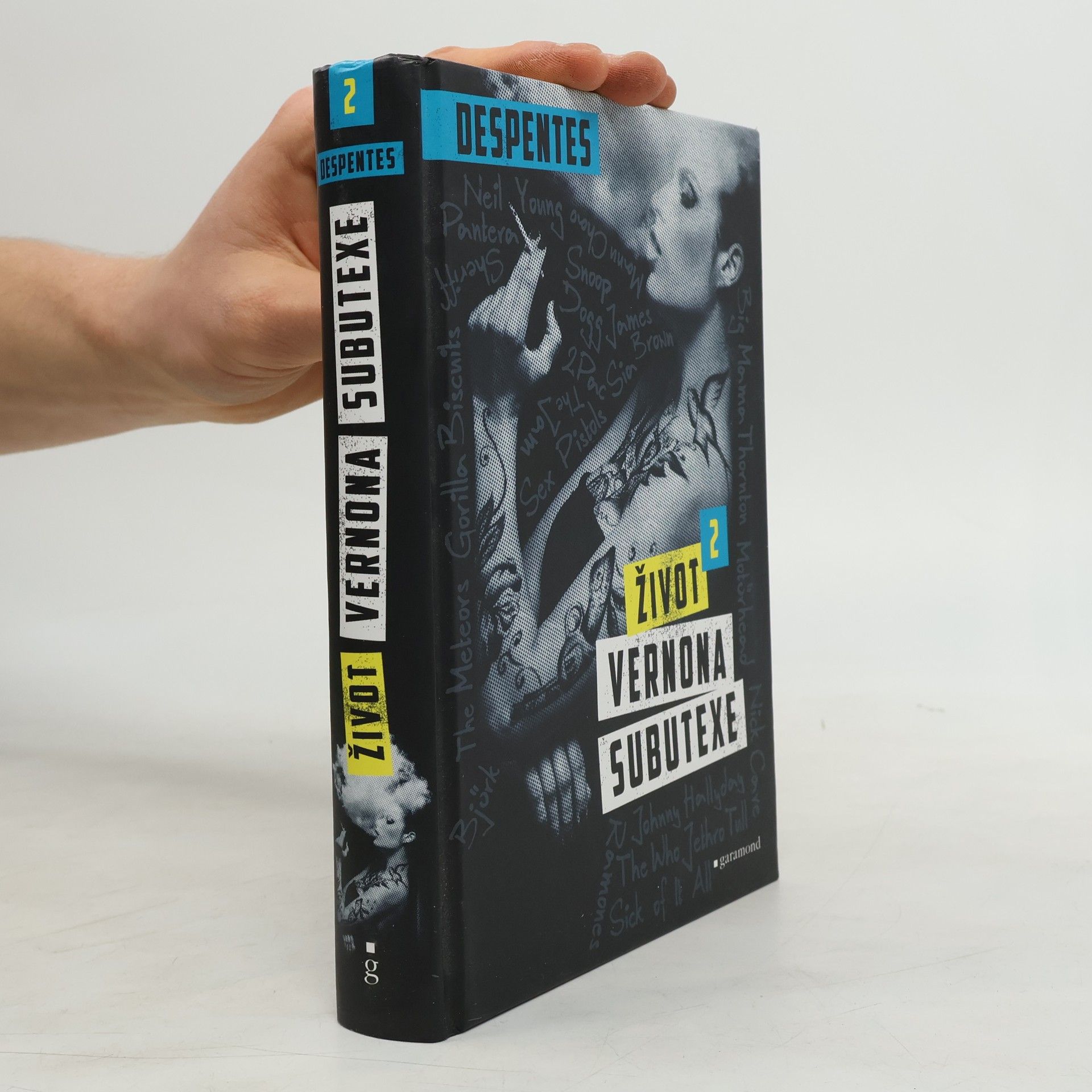 Virginie Despentes Život Vernona Subutexe. Díl 2