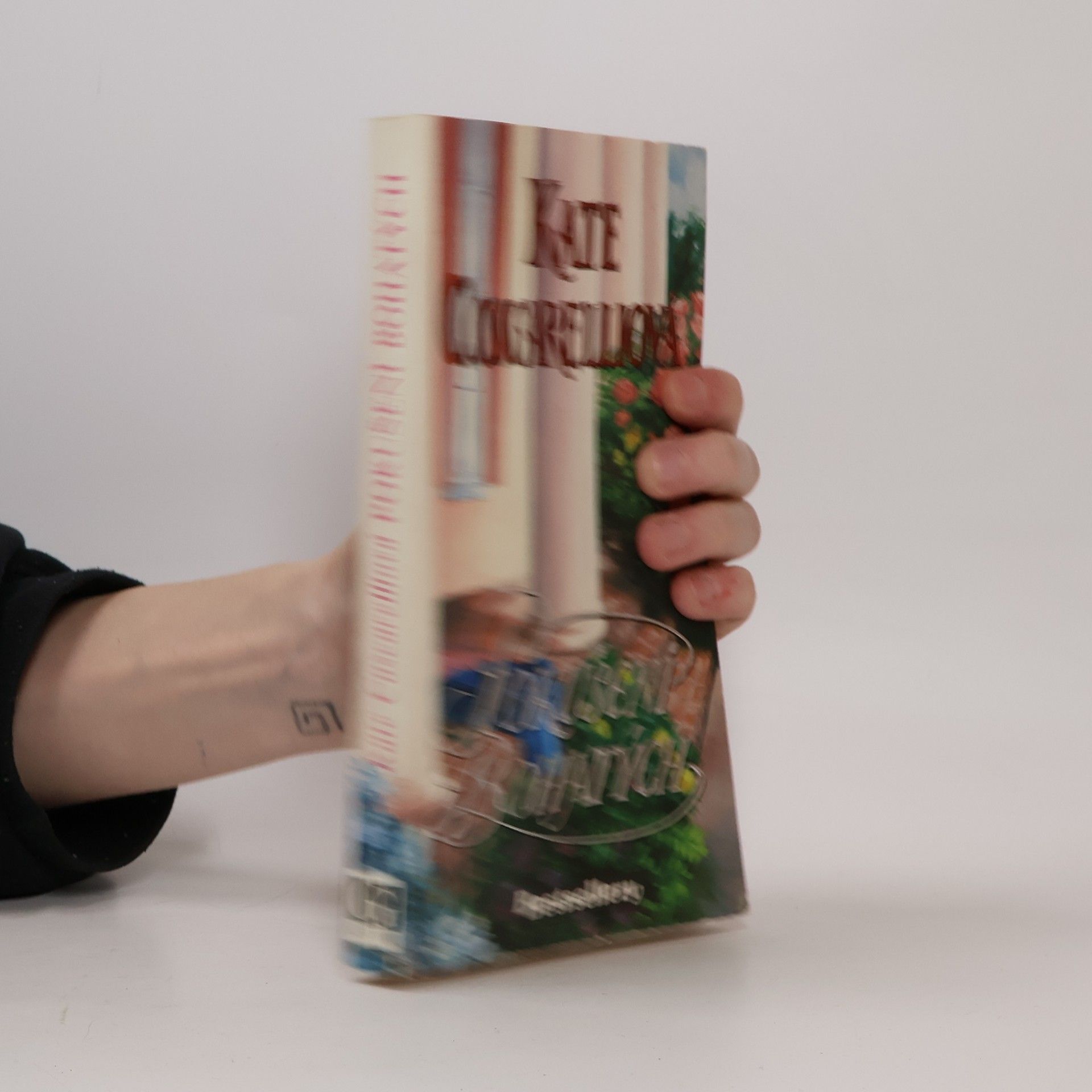 Kate Coscarelli Pokušení bohatých