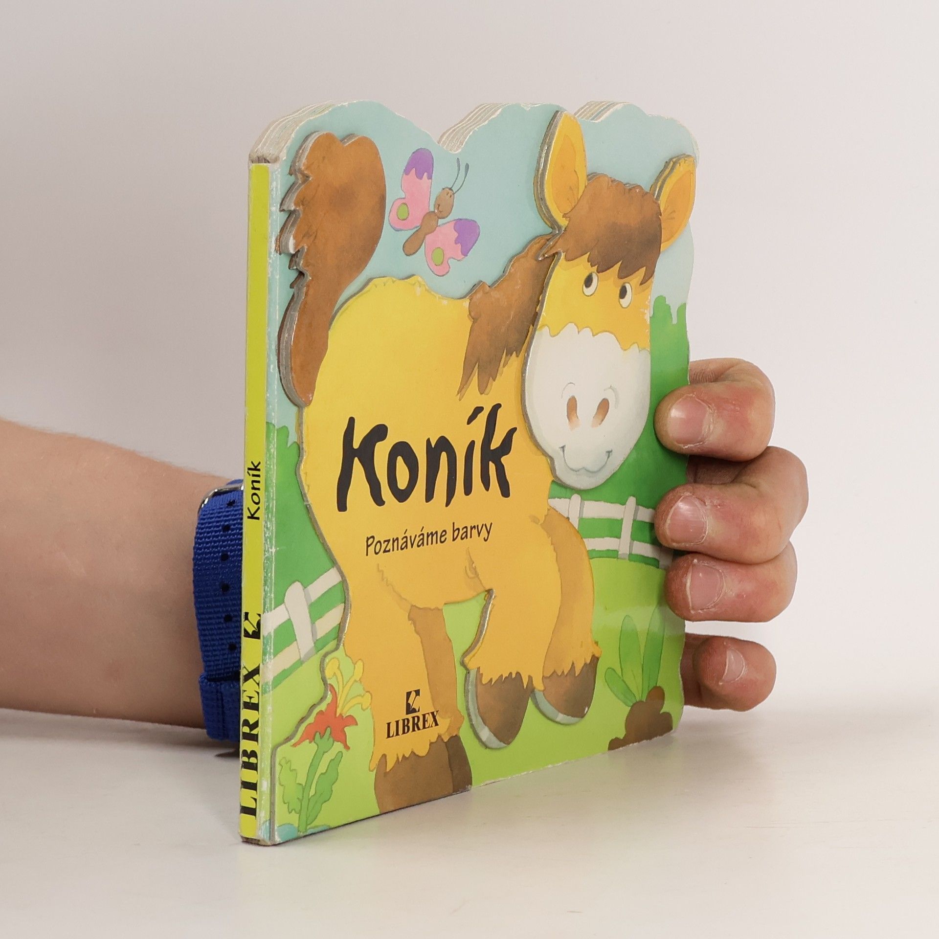 Terry Burton Koník - Poznáváme barvy