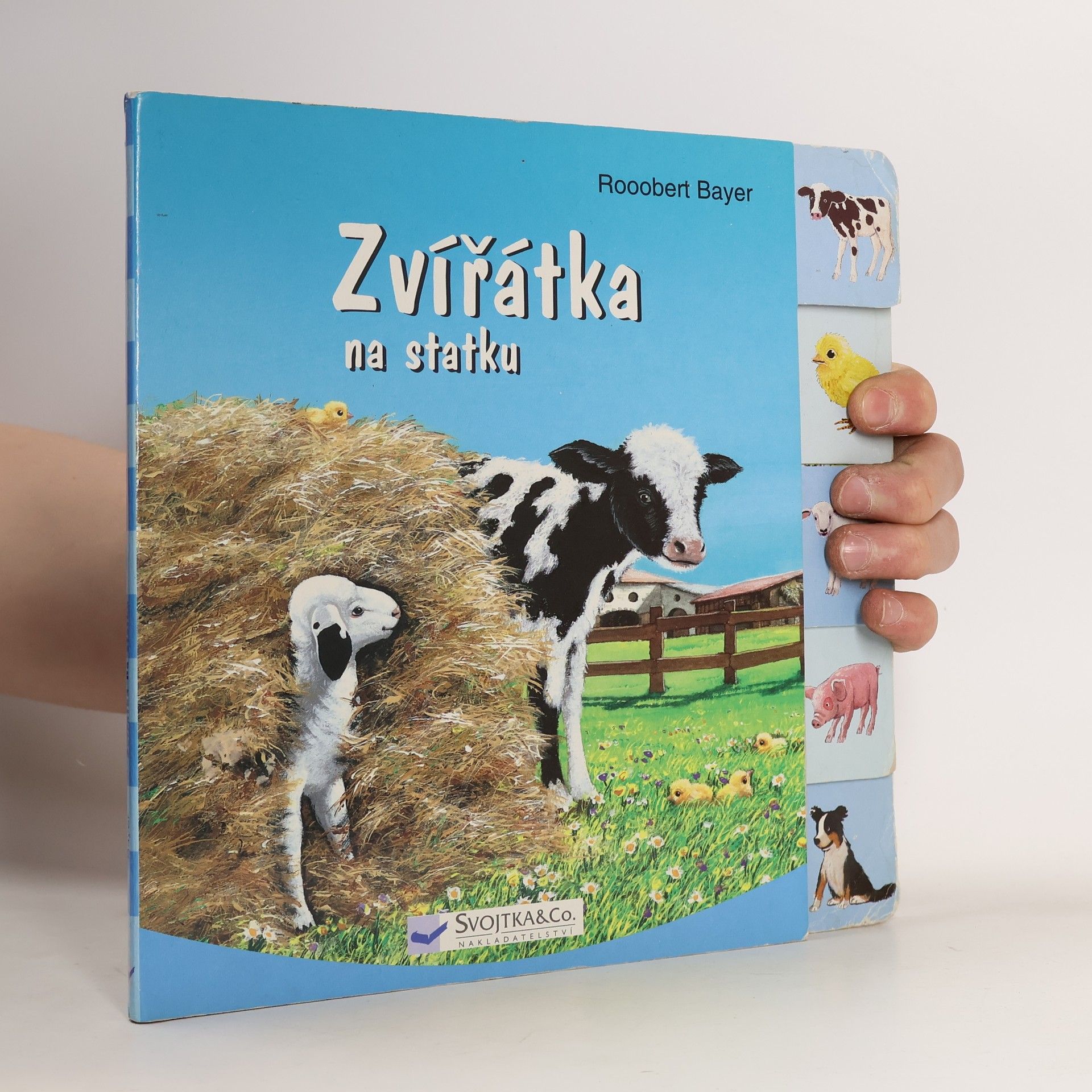 Robert Bayer Zvířátka na statku