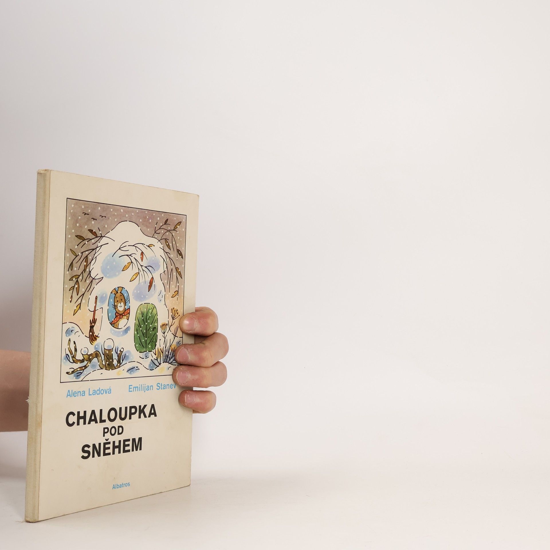 Chaloupka pod sněhem