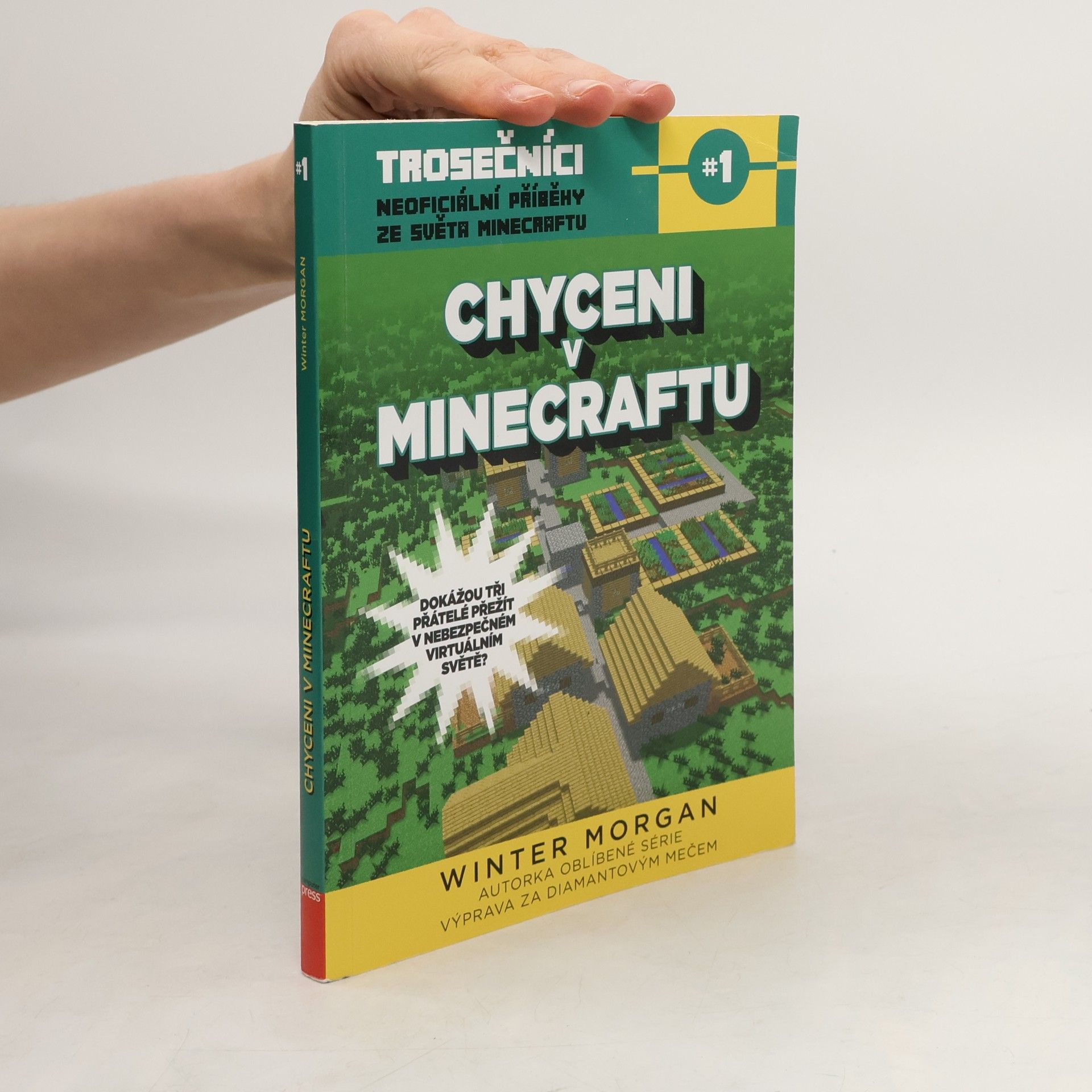 Winter Morgan Trosečníci. Kniha první, Chyceni v Minecraftu