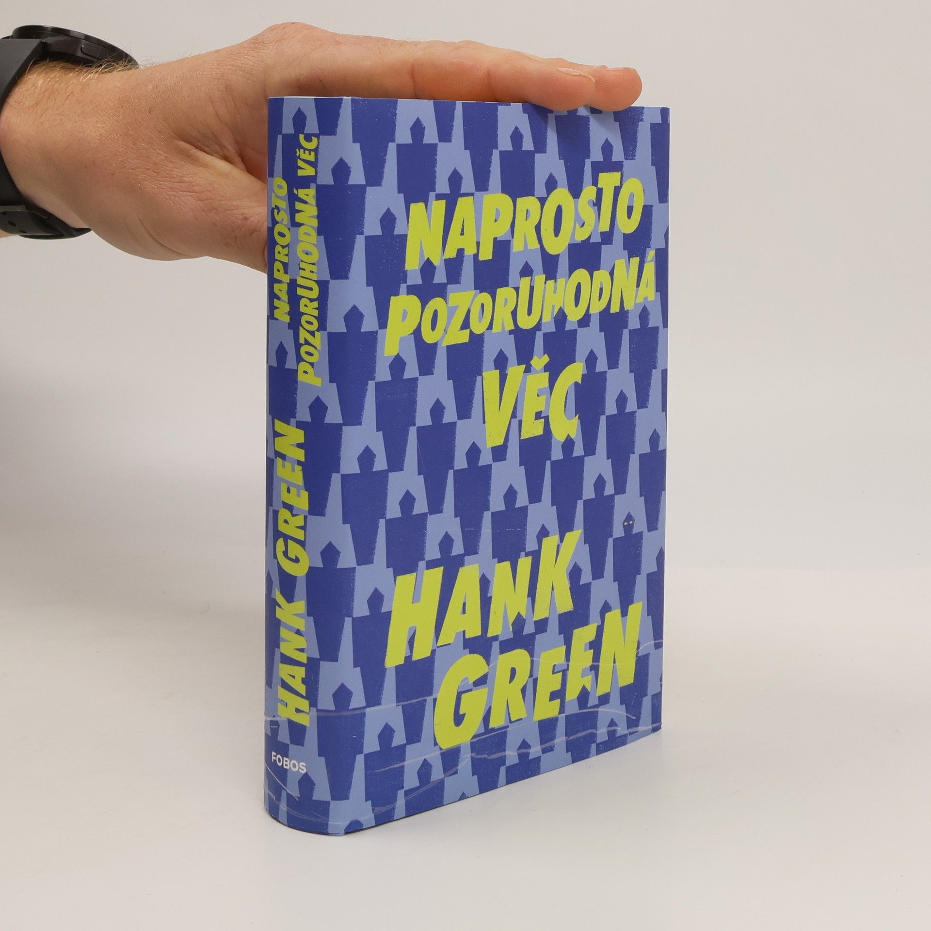 Hank Green Naprosto pozoruhodná věc