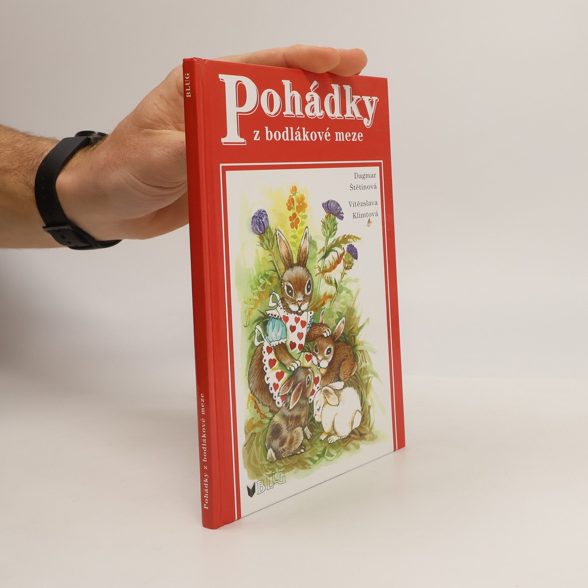 Dagmar Štětinová Pohádky z bodlákové meze