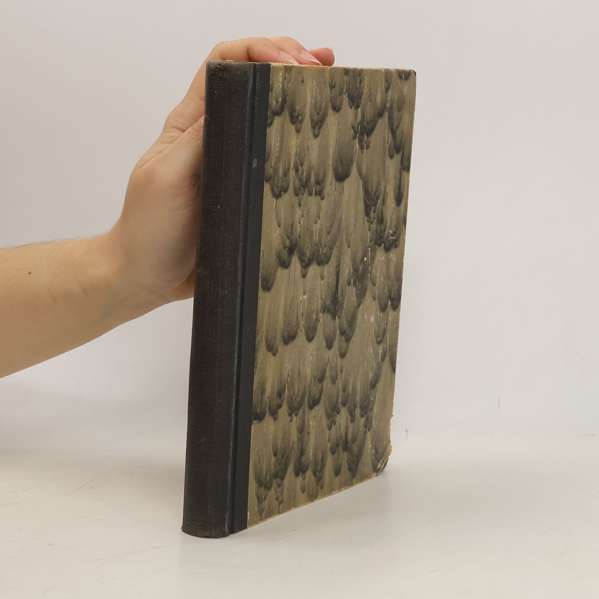 Někrasov Viktor V Stalingradských zákopech