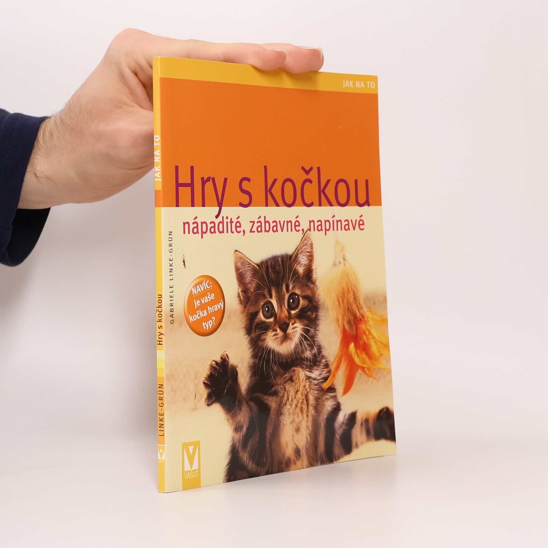 Gabriele LinkeGrün Hry s kočkou. Nápadité, zábavné, napínavé