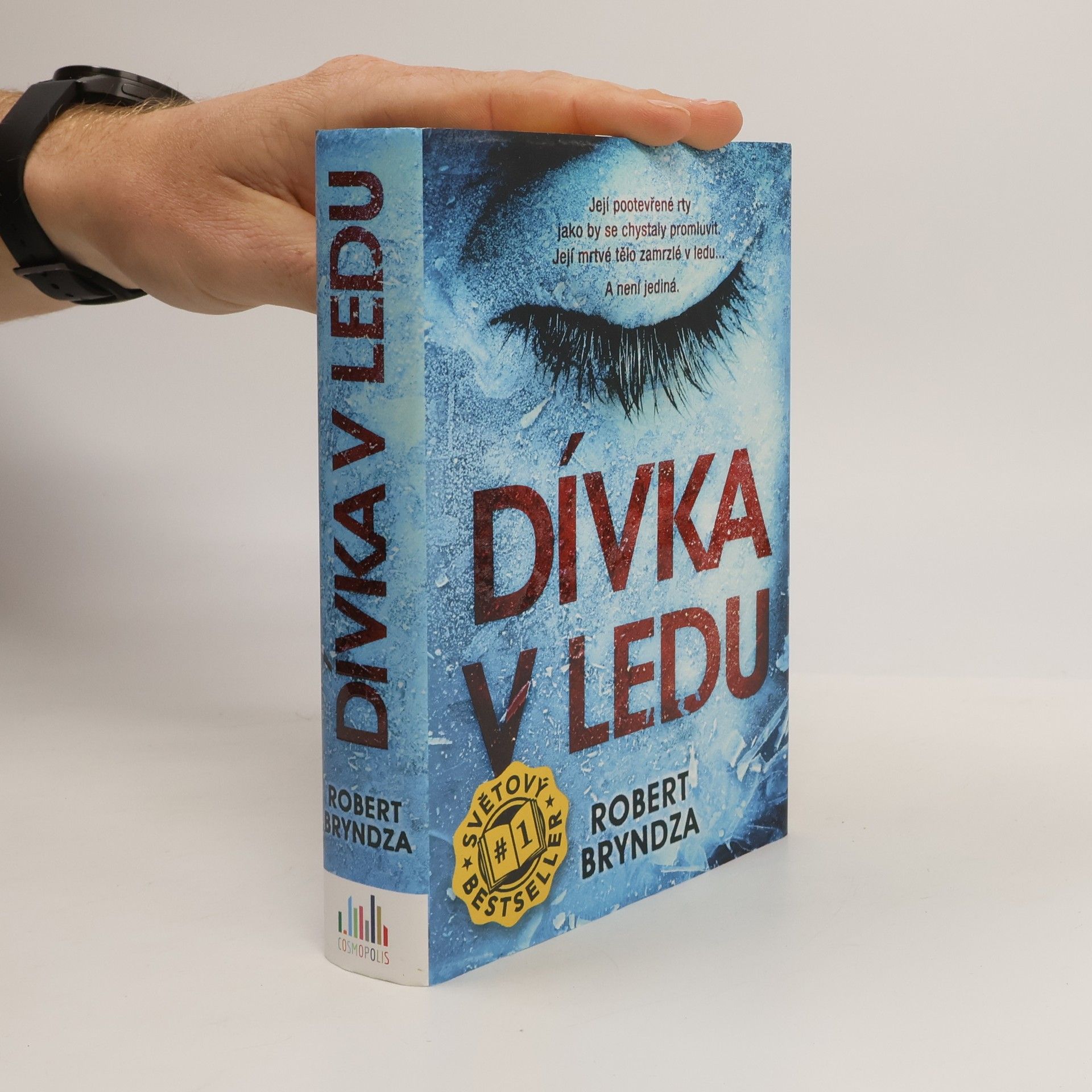 Robert Bryndza Dívka v ledu