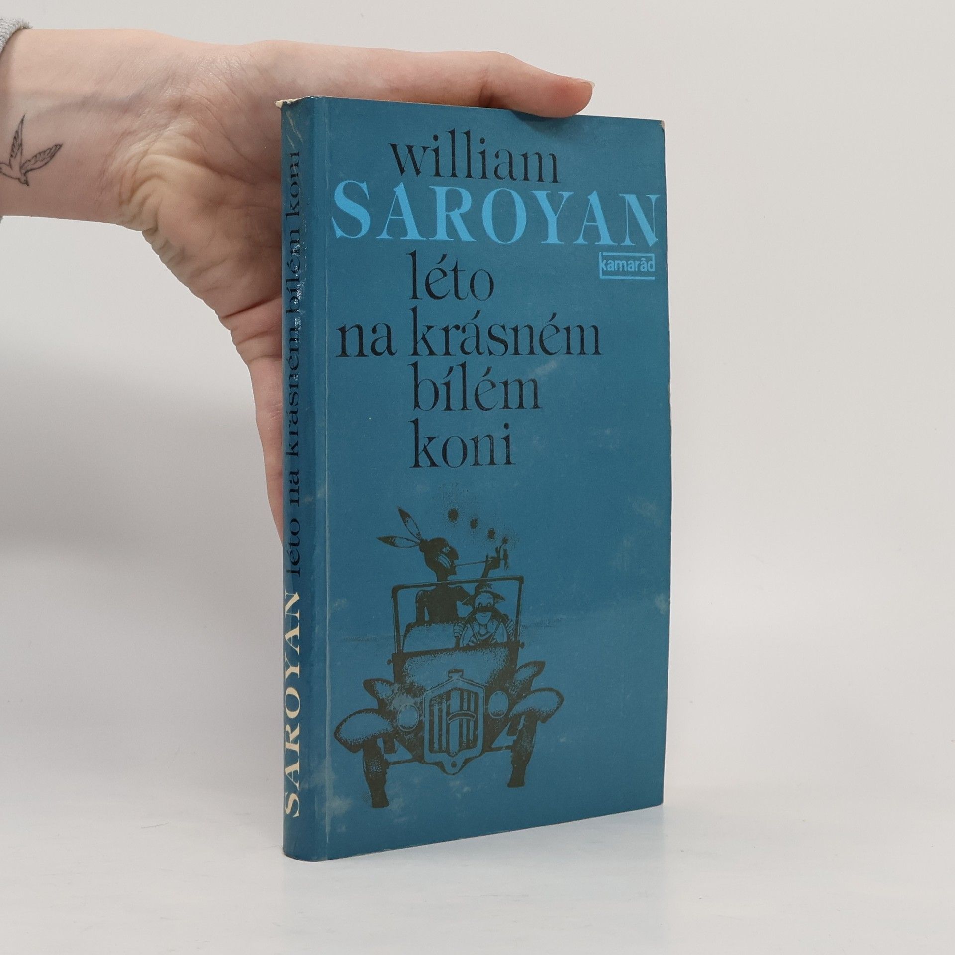 William peneyan Léto na krásném bílém koni