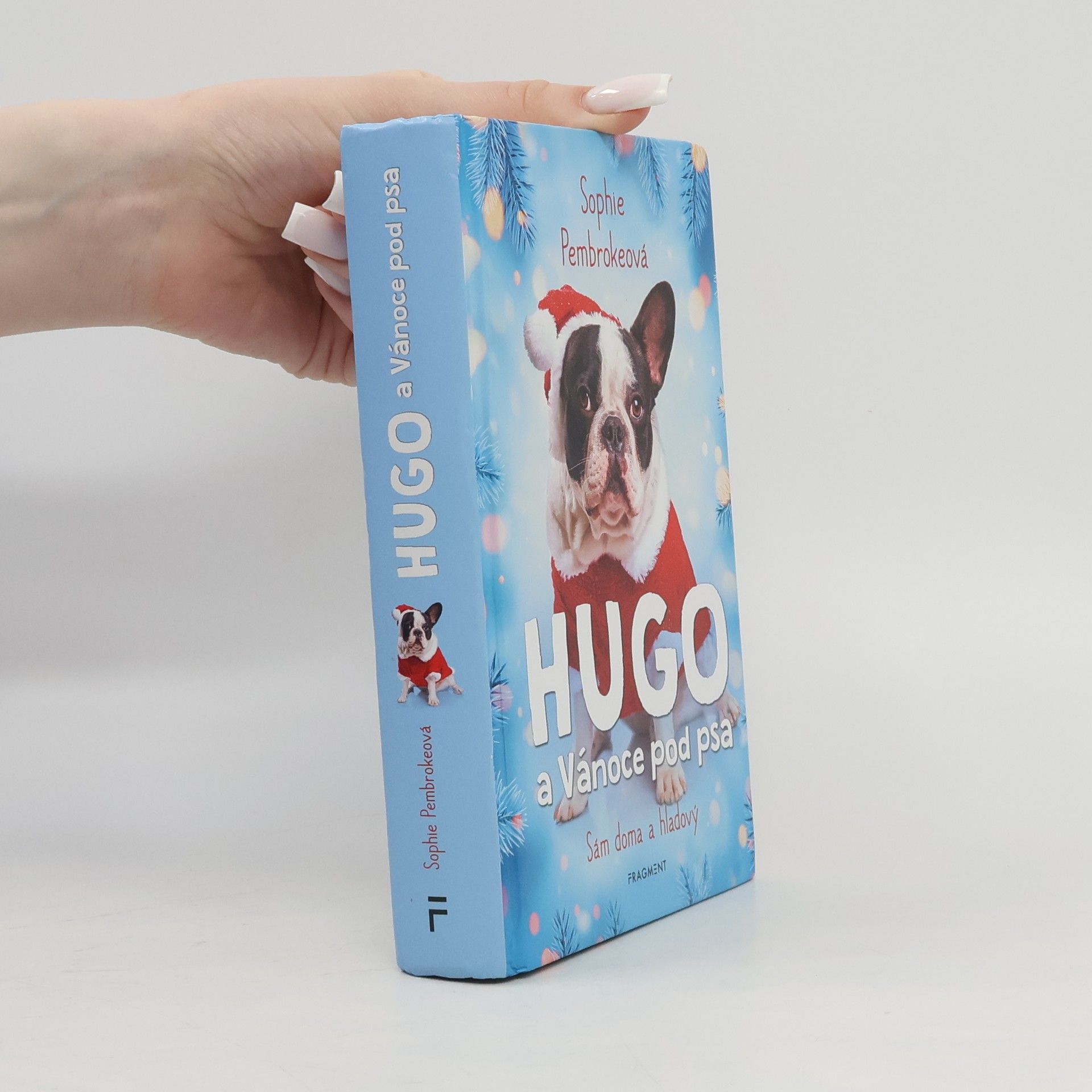 Sophie Pembroke Hugo a Vánoce pod psa