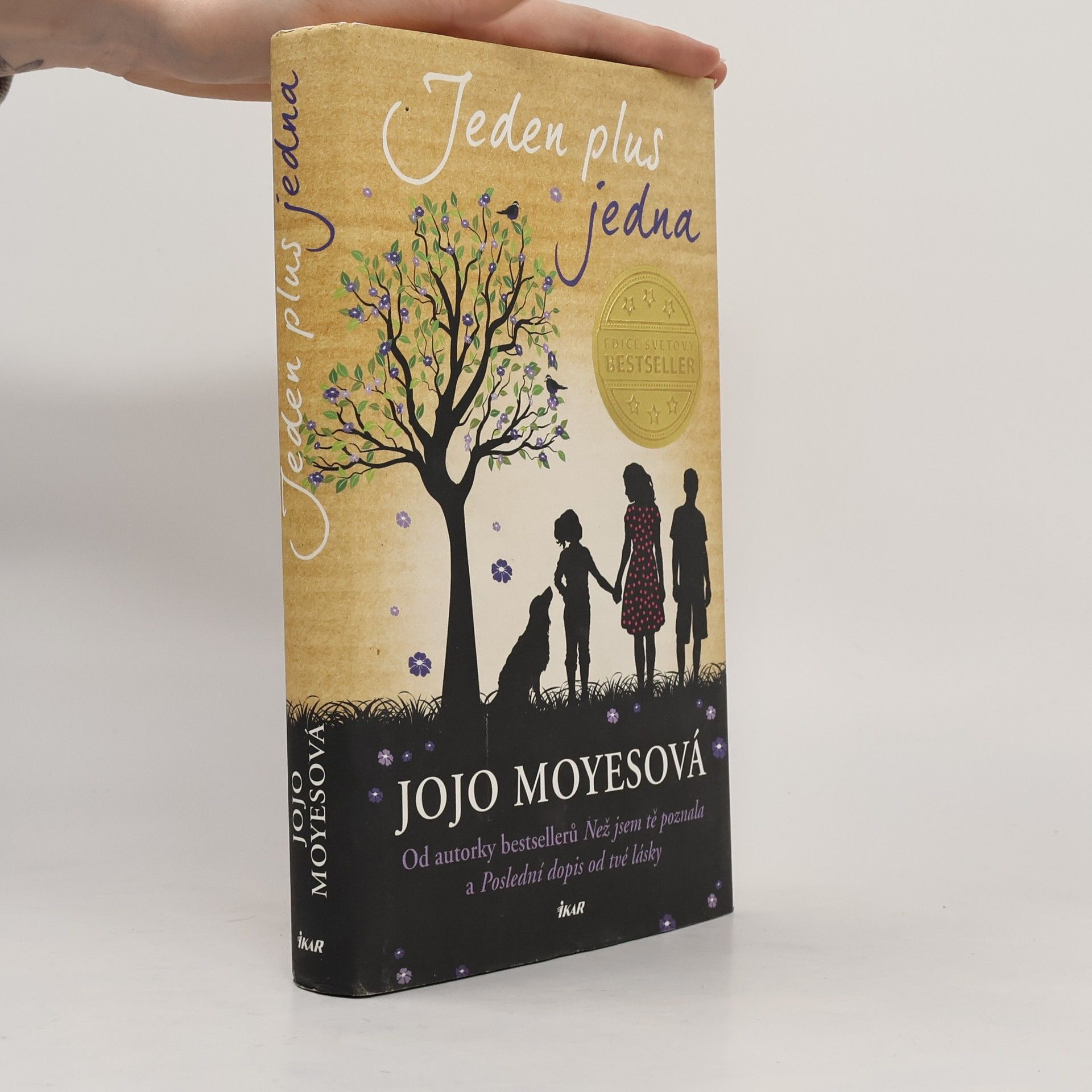 Jojo Moyes Jeden plus jedna