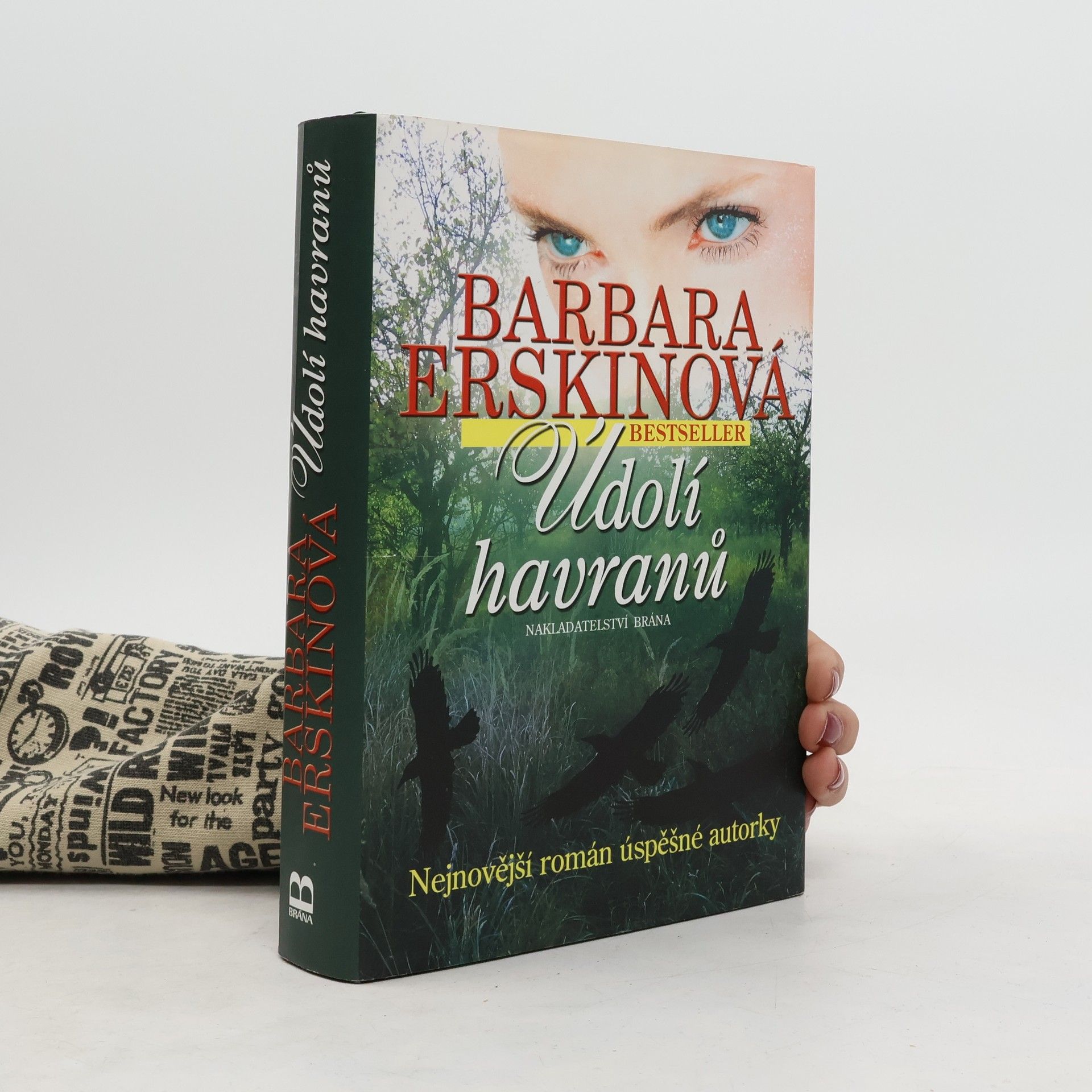 Barbara Erskinová Údolí havranů