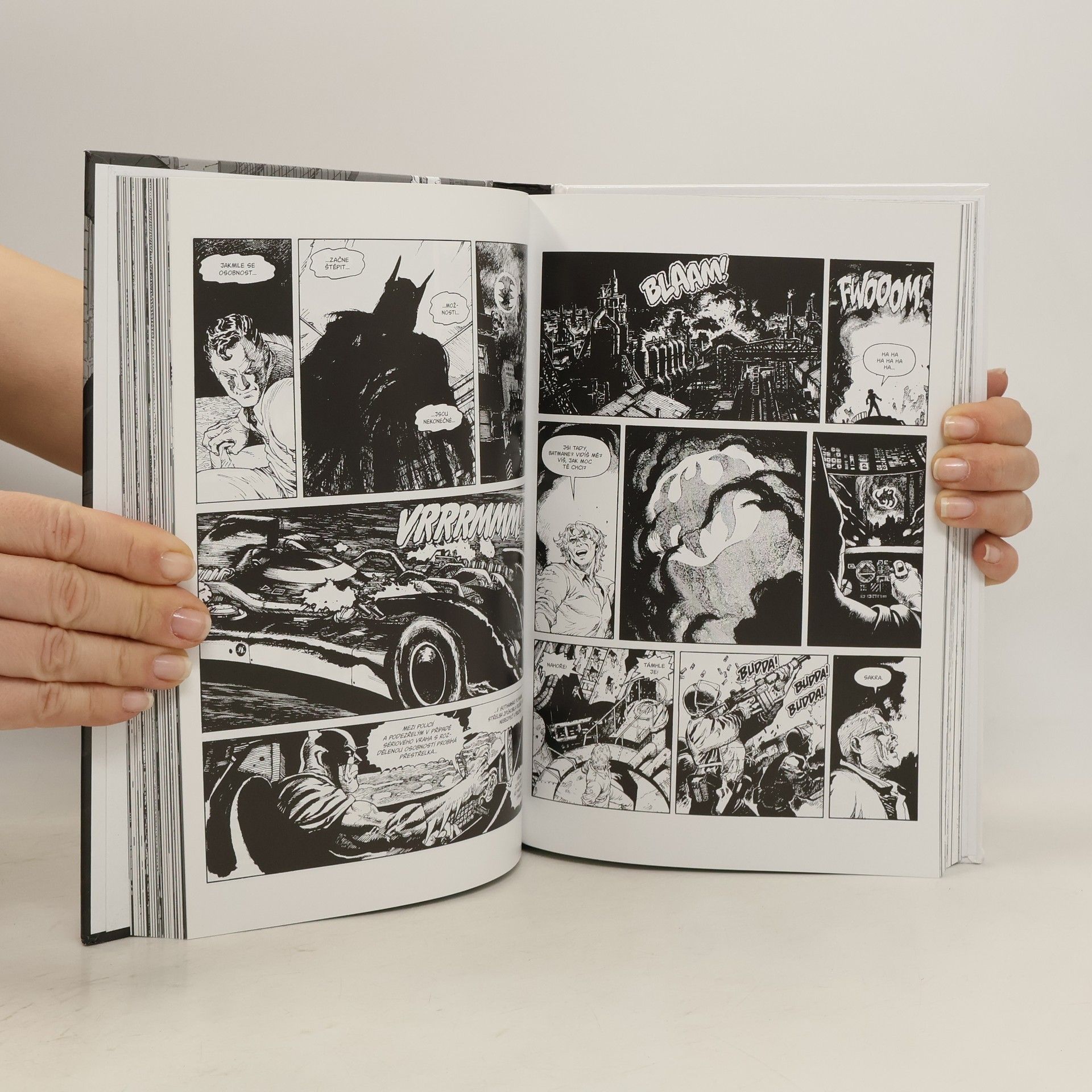 Autorenkollektiv Batman v černé a bílé