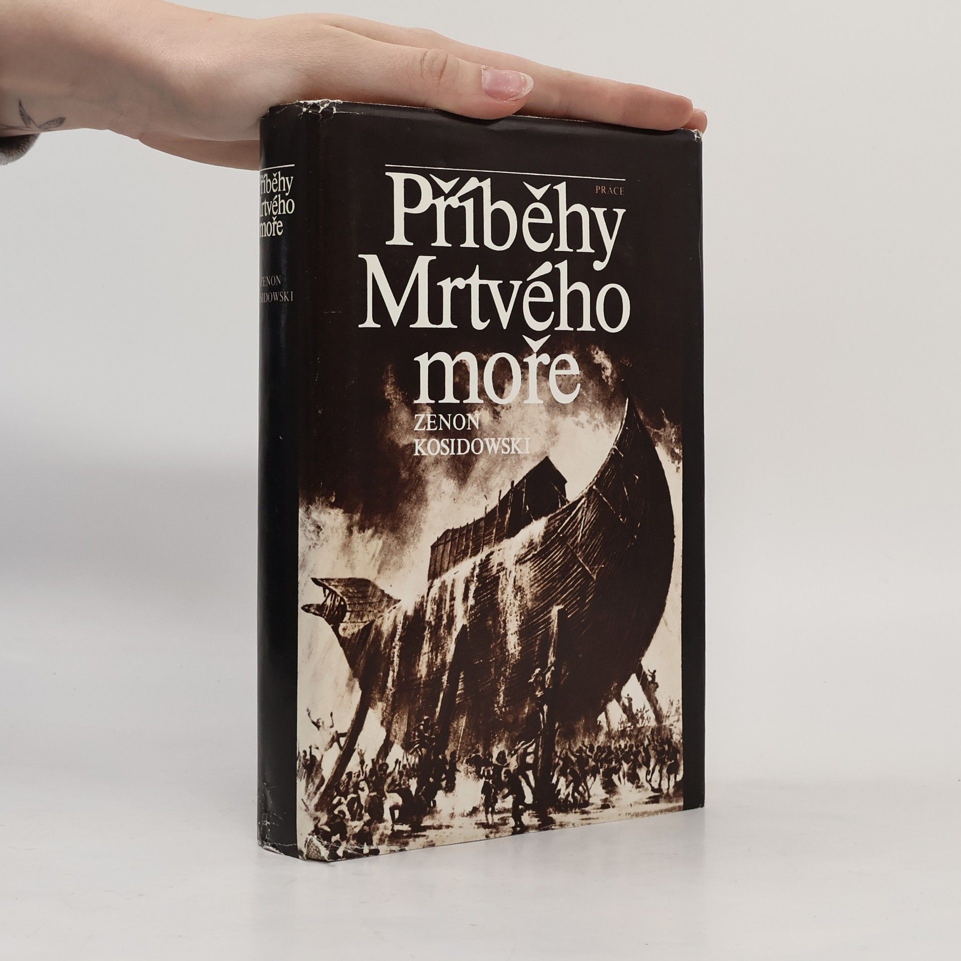 Zenon Kosidowski Příběhy Mrtvého moře