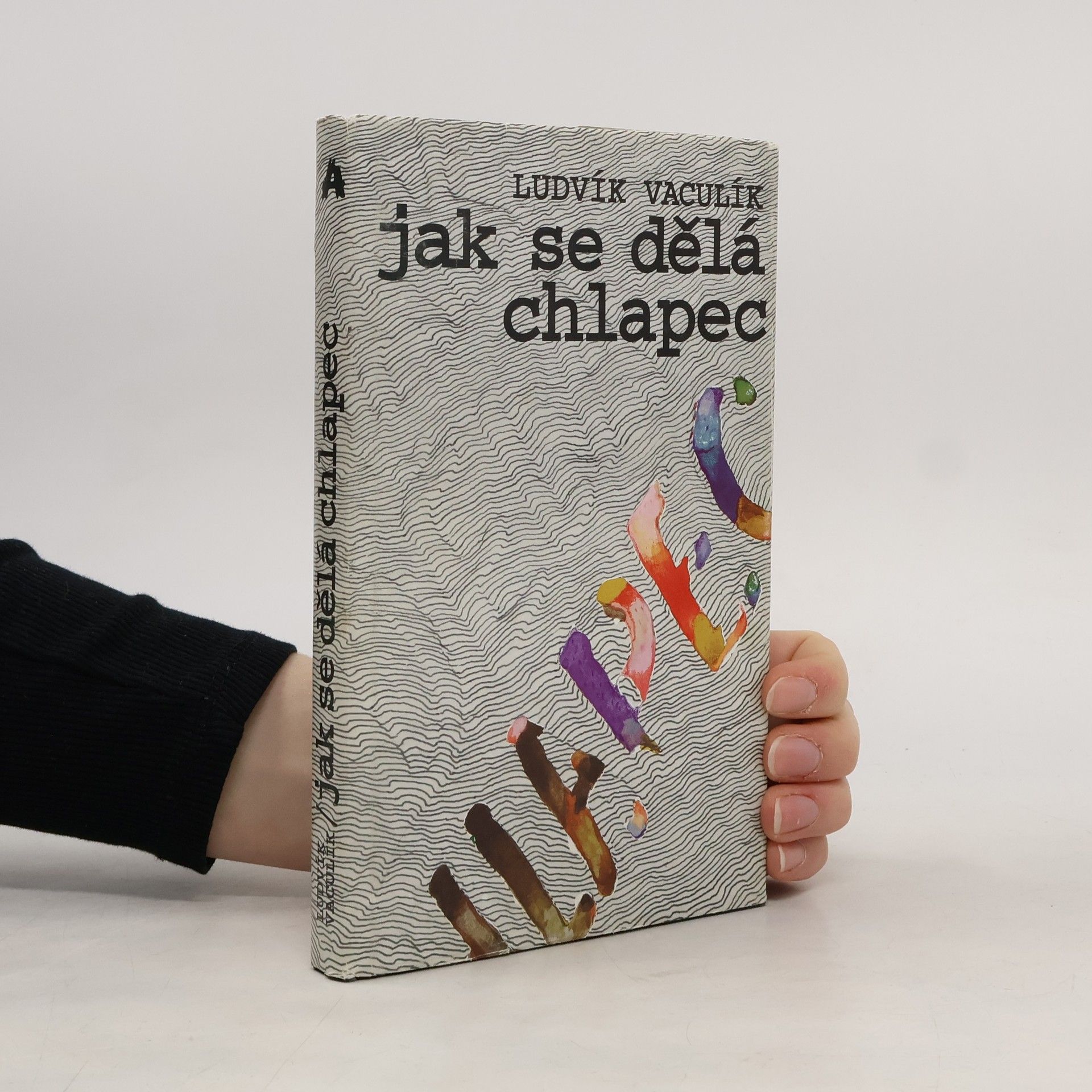 Ludvík Vaculík Jak se dělá chlapec