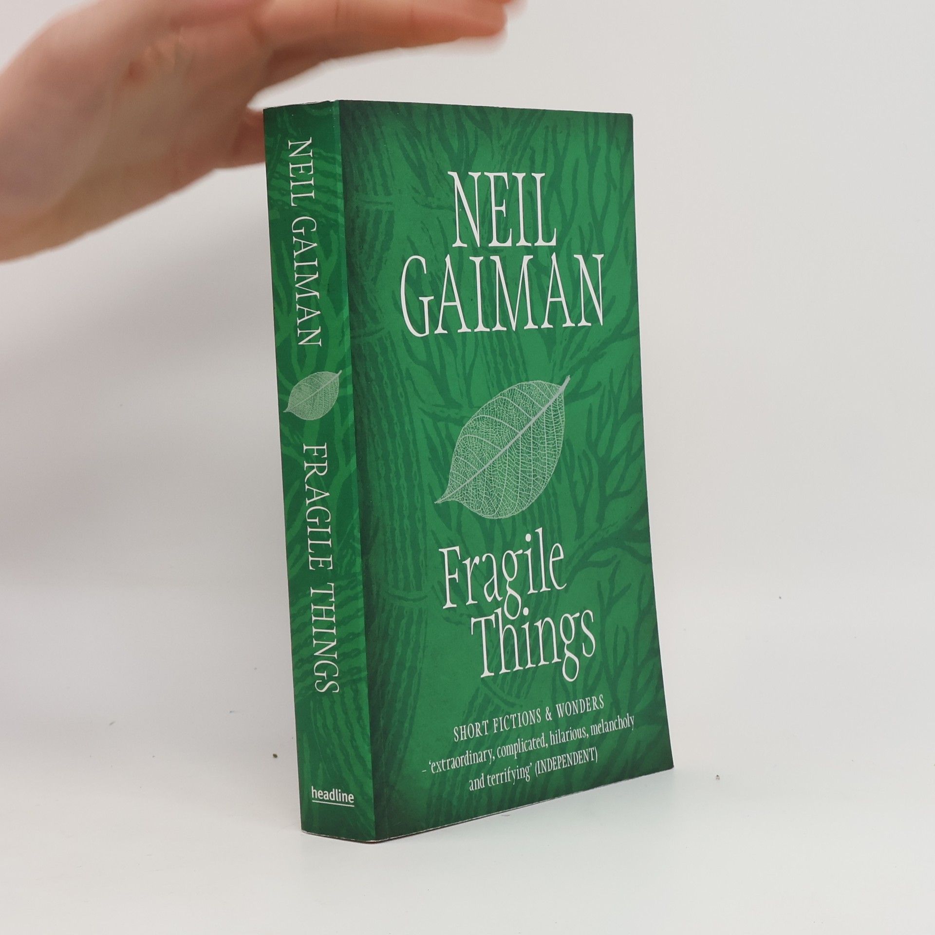 Neil Gaiman Fragile Things