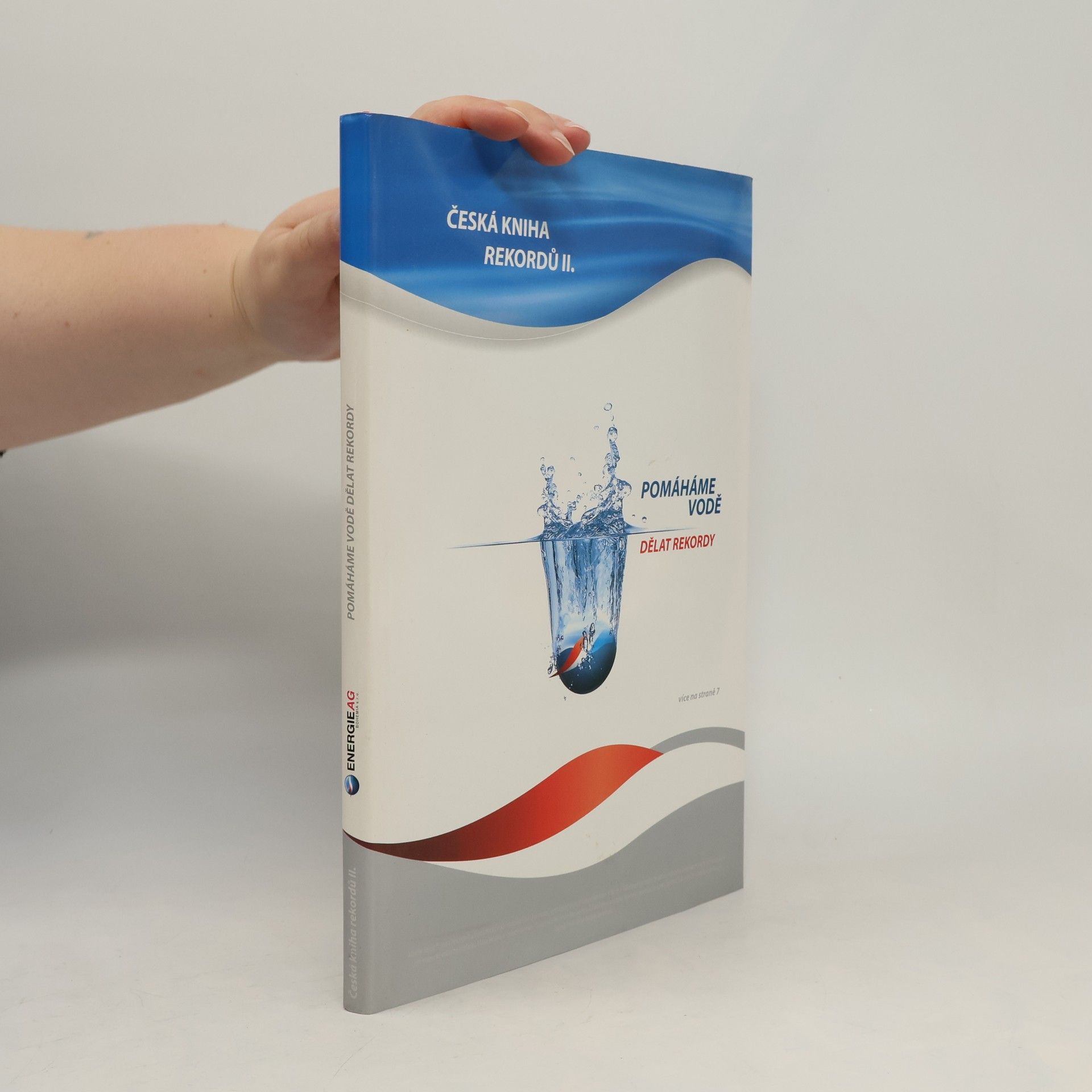 Česká kniha rekordů II.