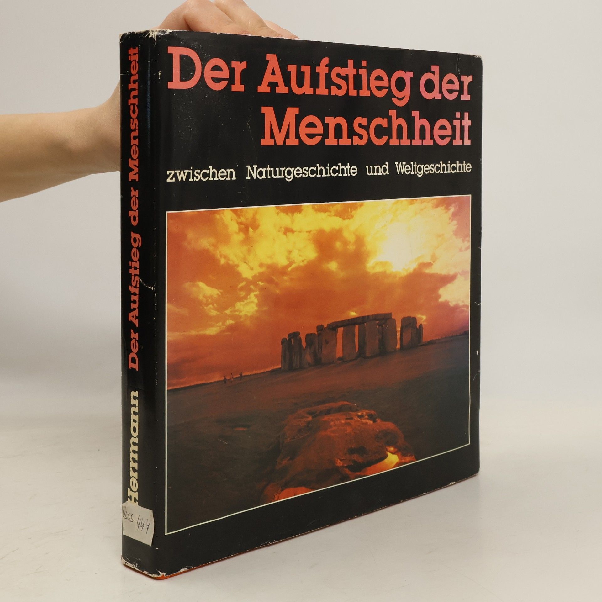 Wolf-Joachim Herrmann Der Aufstieg der Menschheit zwischen Naturgeschichte und Weltgeschichte