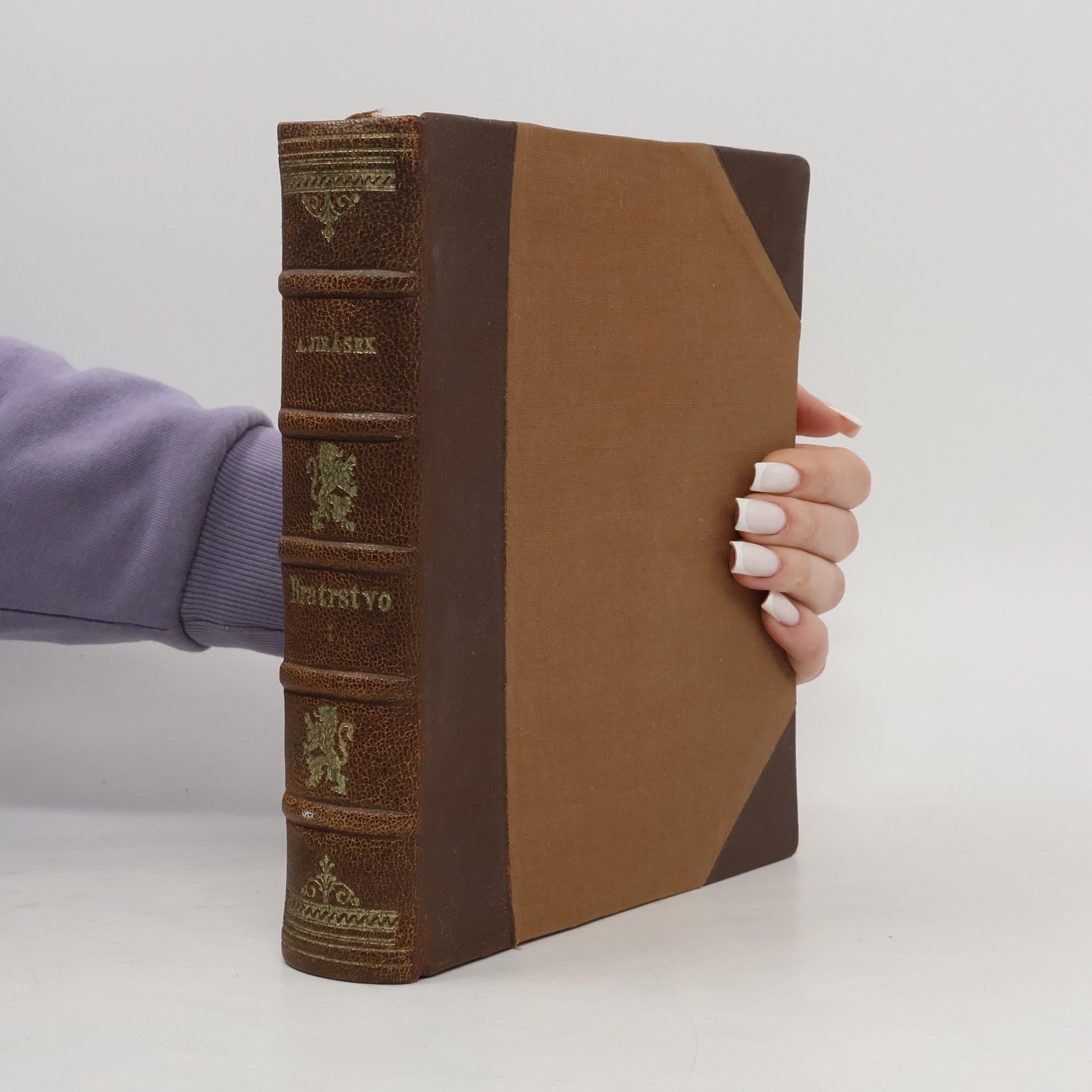 Alois Jirásek Bratrstvo I.