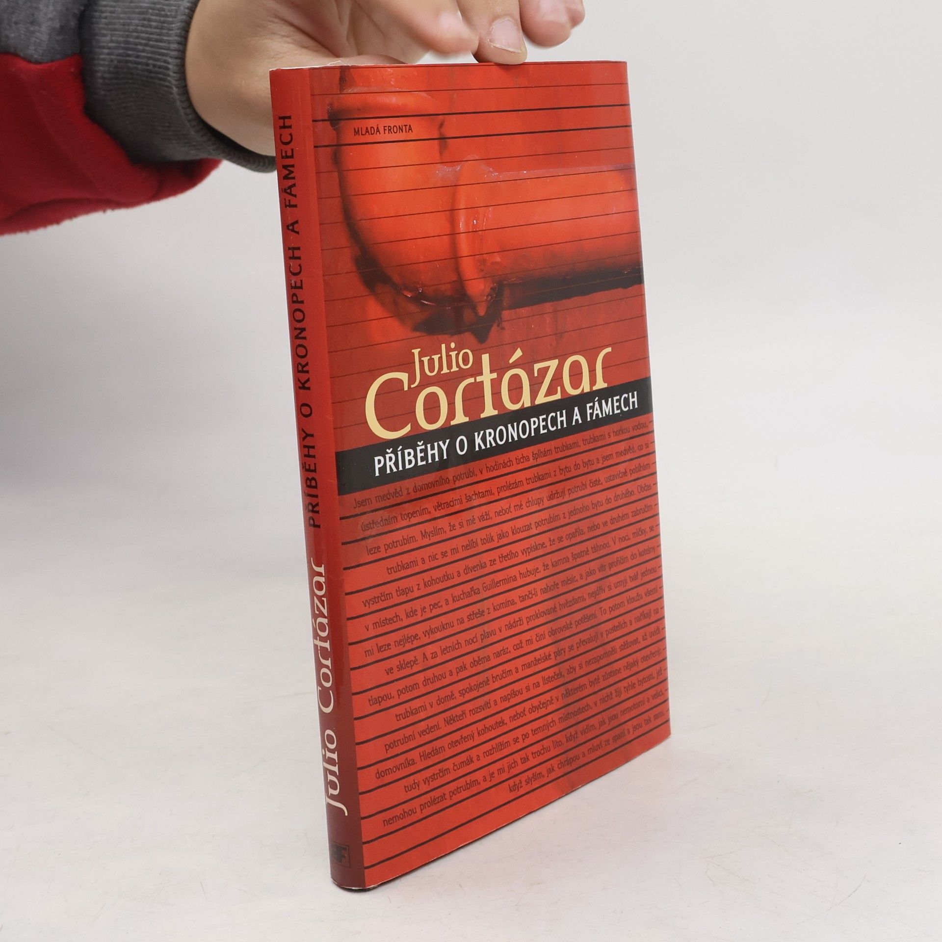 Julio Cortázar Příběhy o kronopech a fámech