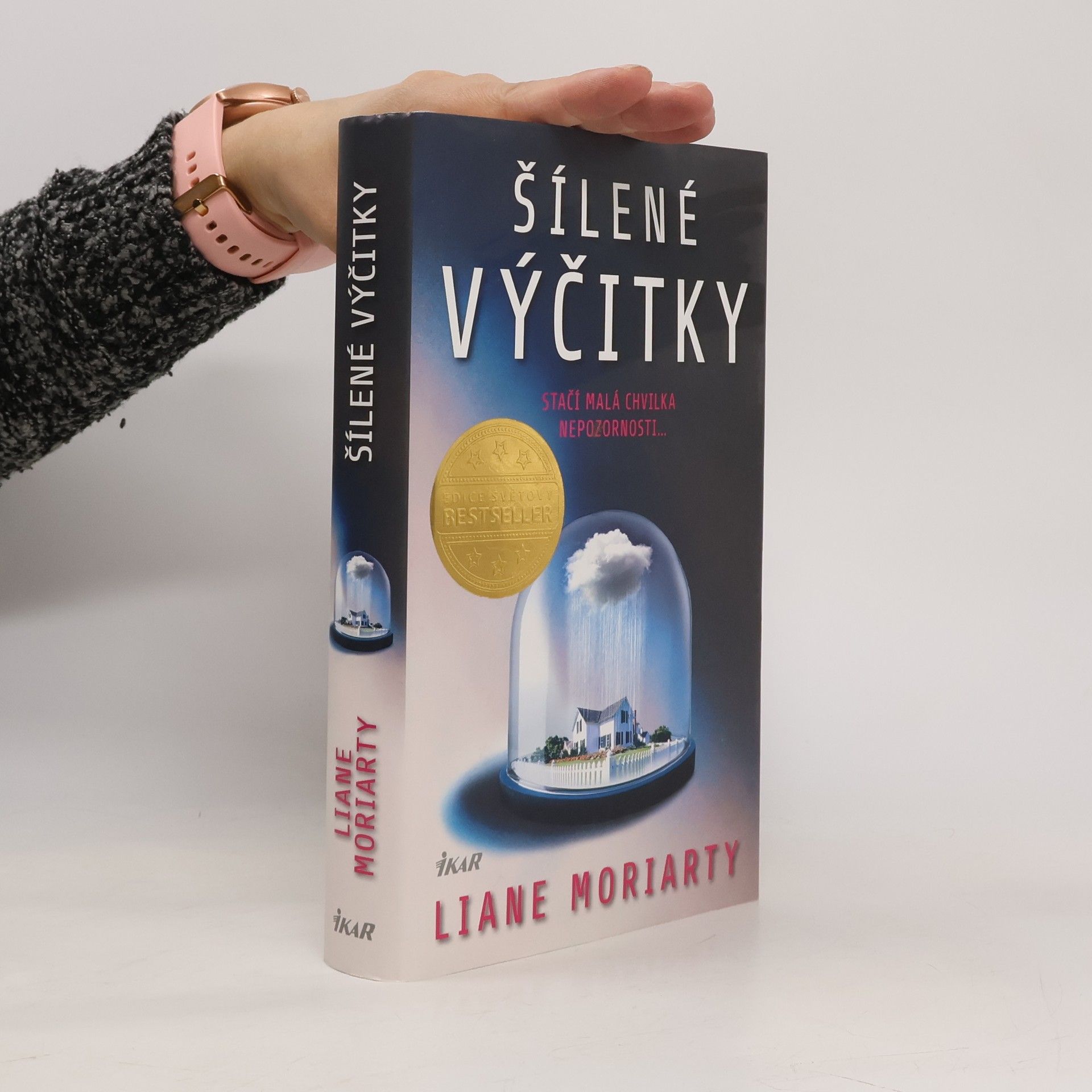 Liane Moriarty Šílené výčitky