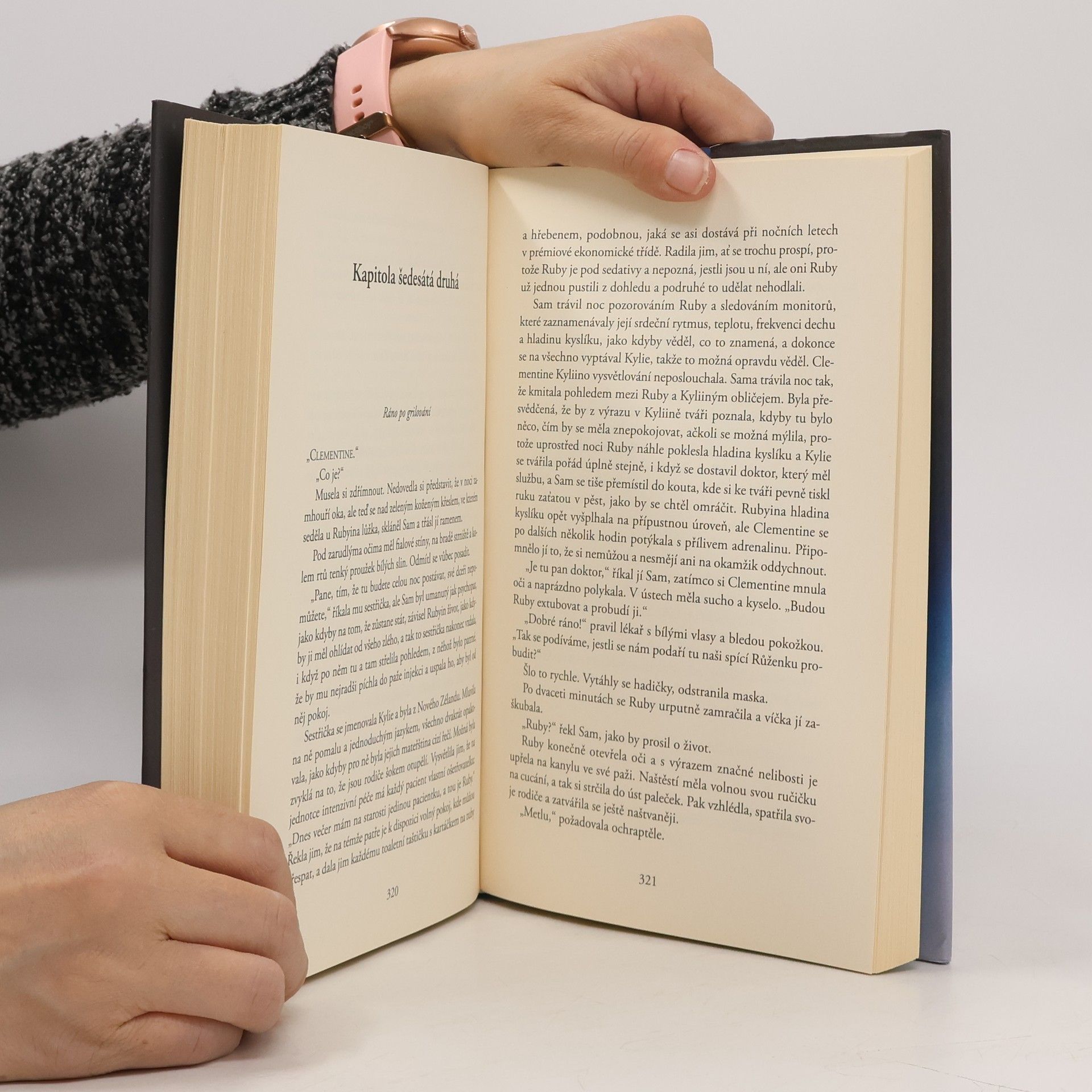 Liane Moriarty Šílené výčitky