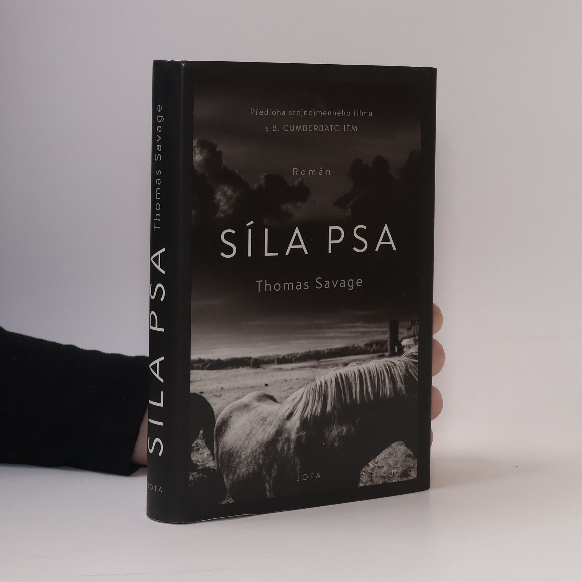 Thomas Savage Síla psa