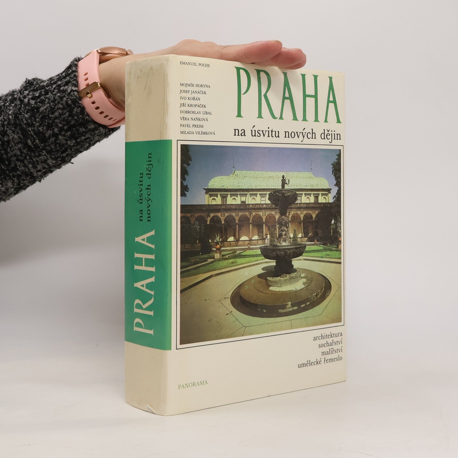 Emanuel Poche Praha na úsvitu nových dějin