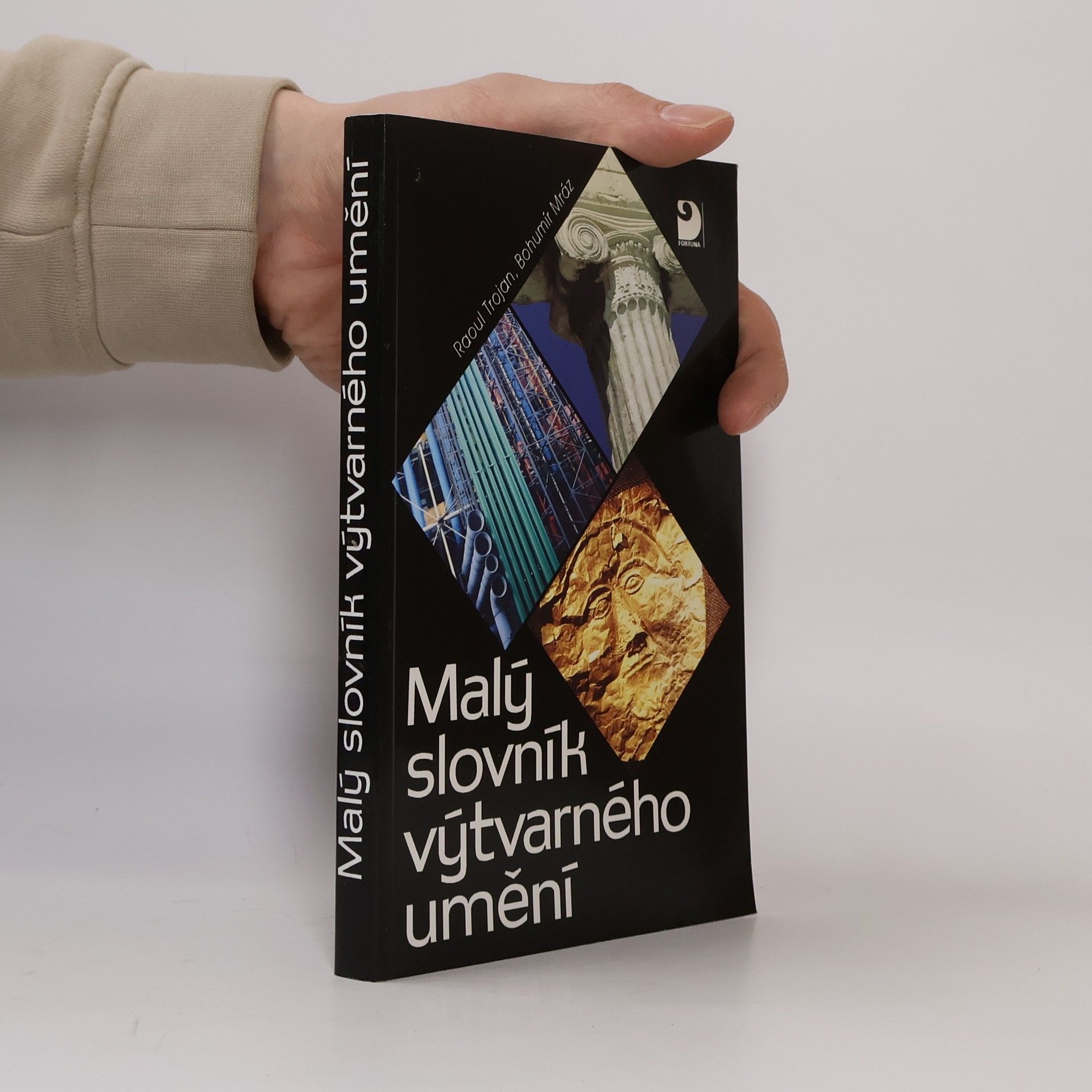 Raul Trojan Malý slovník výtvarného umění