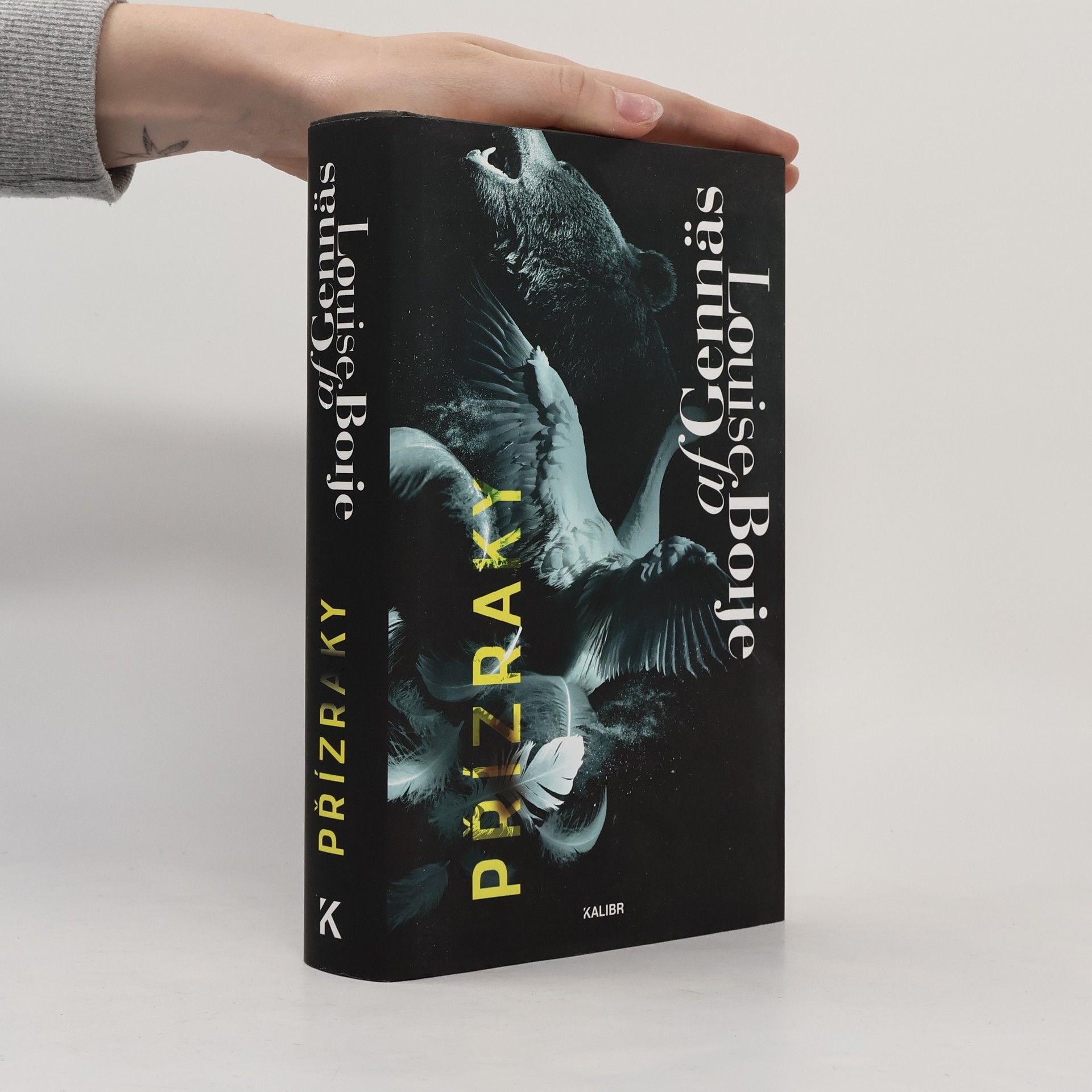 Louise Boije af Gennäs Přízraky