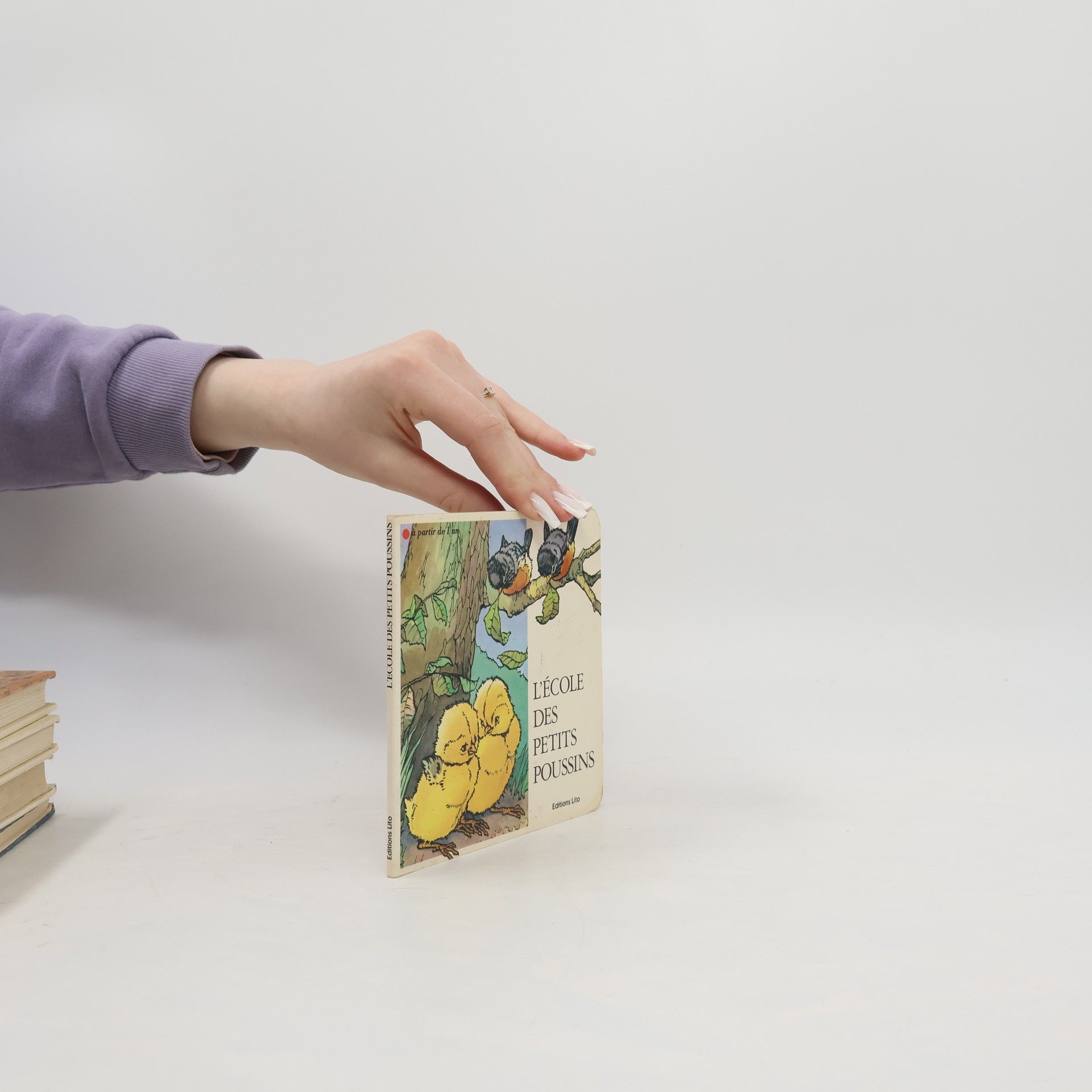 Mora Dolorès L'ecole des petits poussinsL'ecole des petits poussins