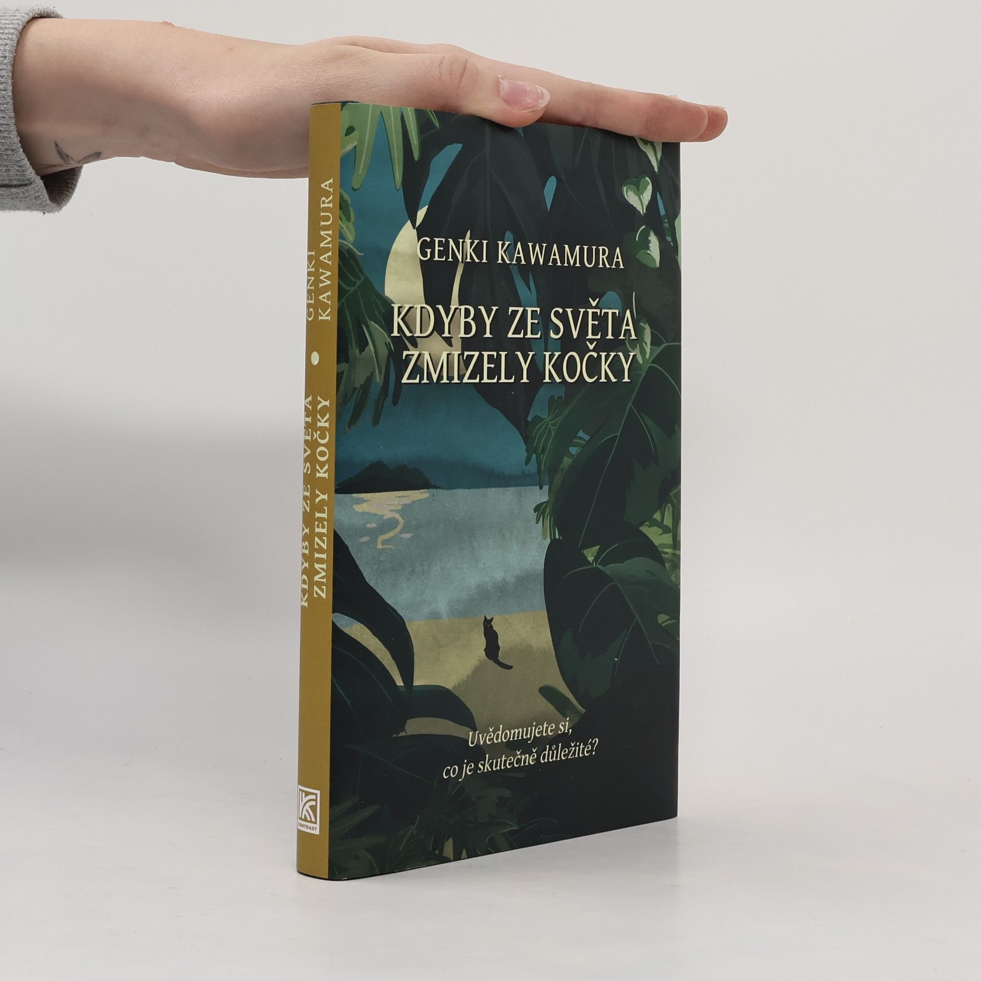 Genki Kawamura Kdyby ze světa zmizely kočky