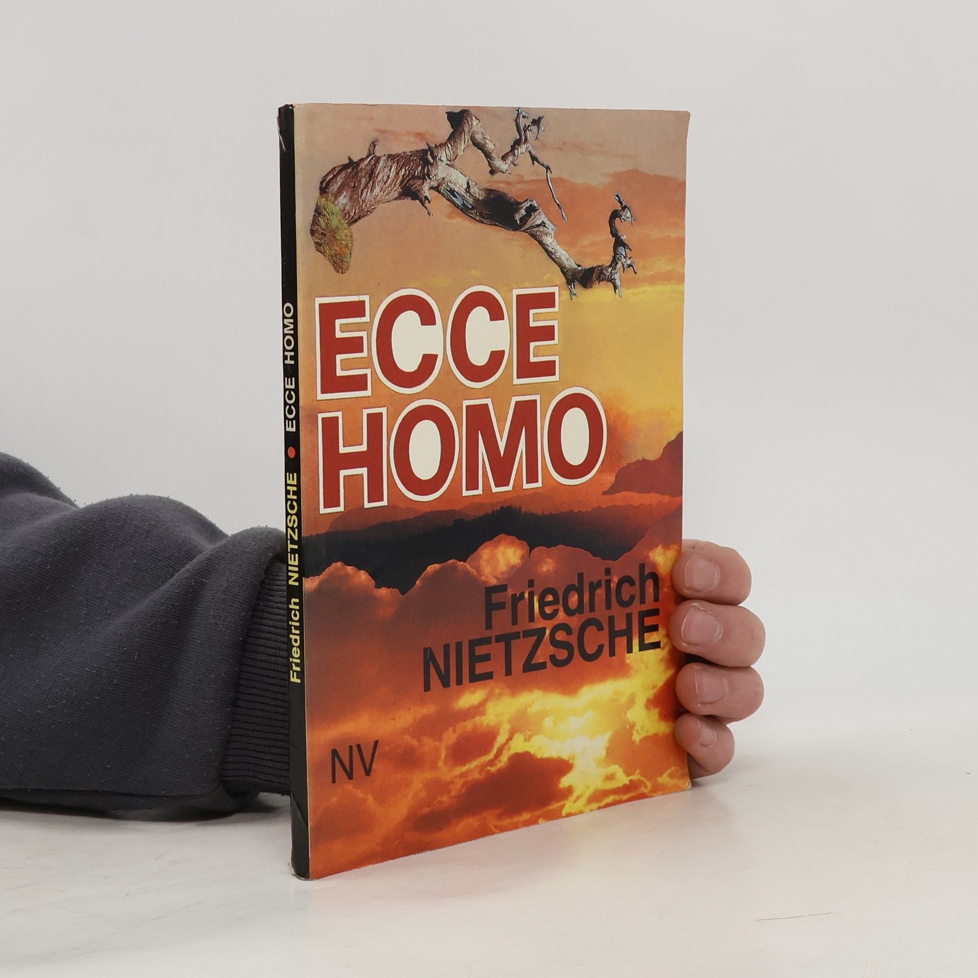 Friedrich Nietzsche Ecce homo