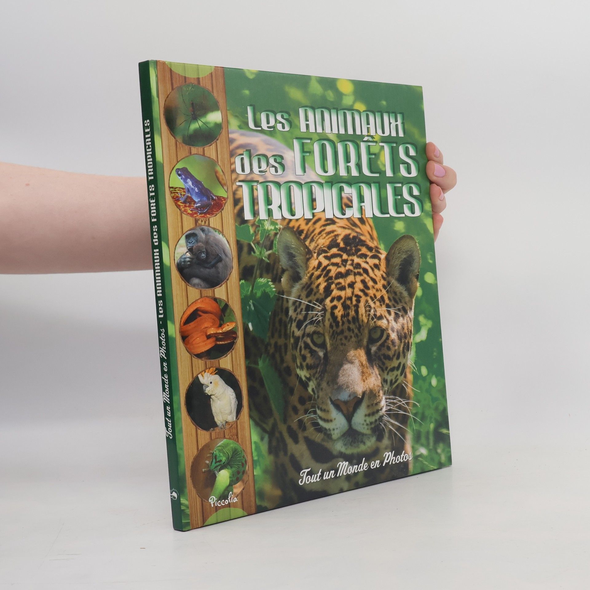 Autorenkollektiv Les animaux de la forêt tropicale