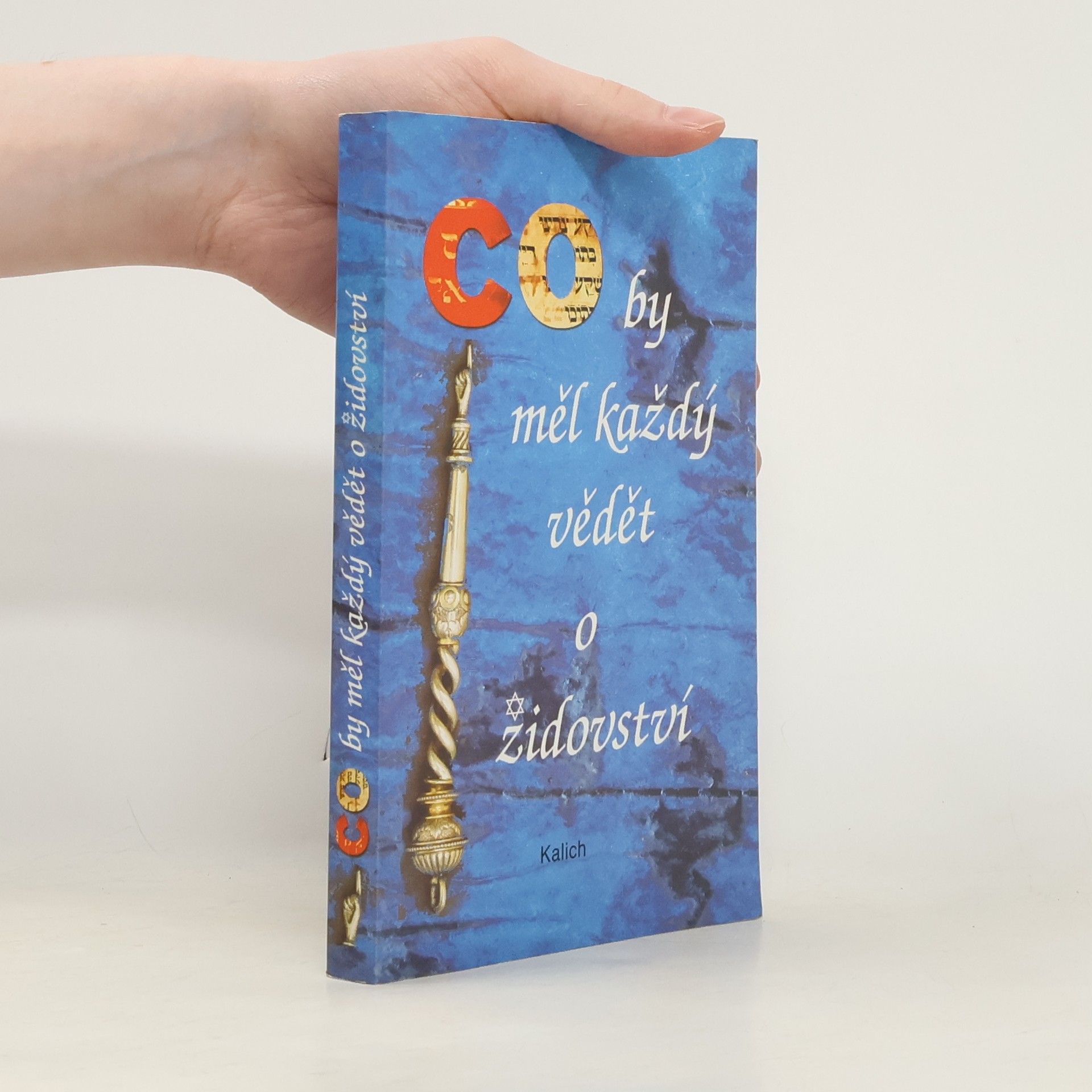 Co by měl každý vědět o židovství