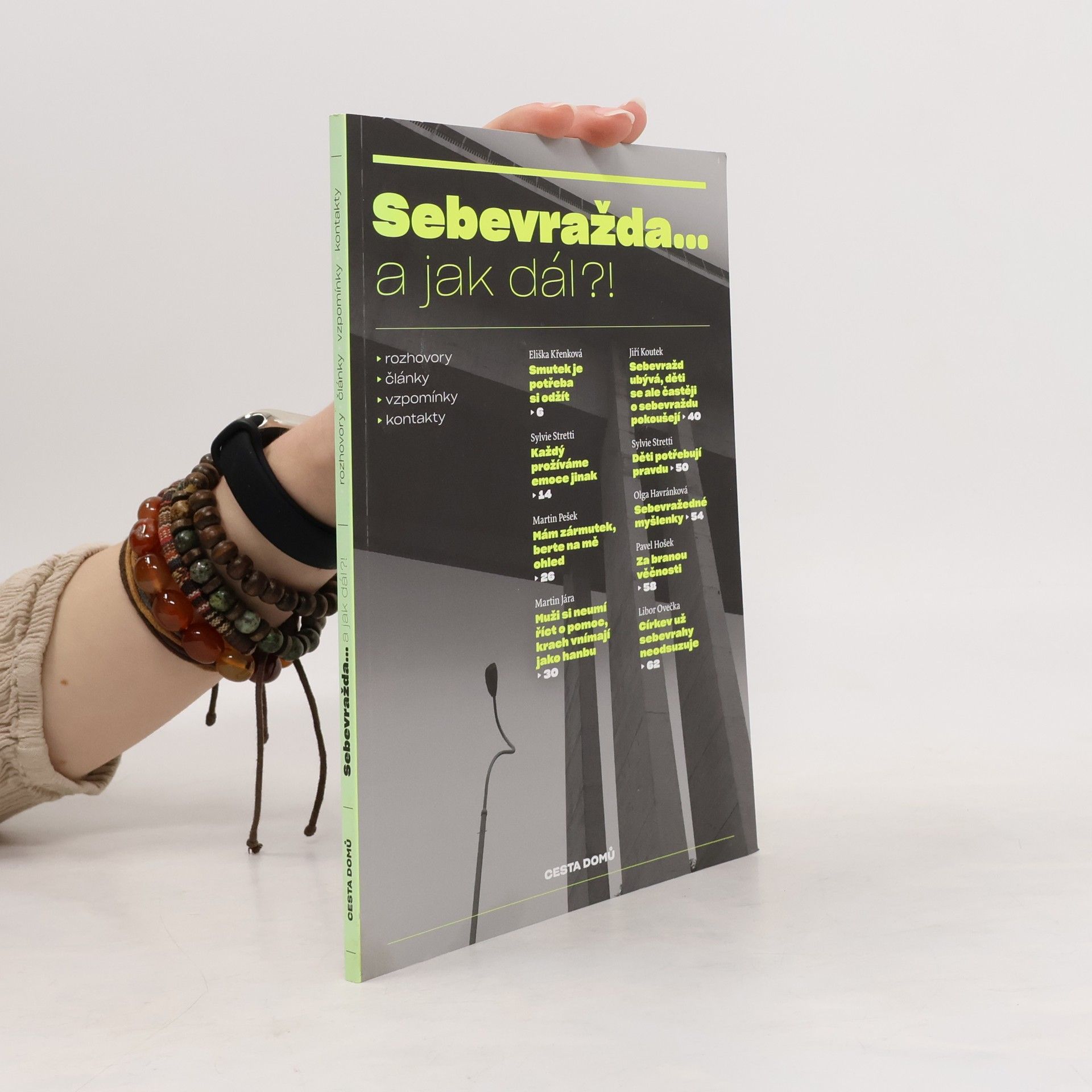 Alena Scheinostová Sebevražda... a jak dál?!